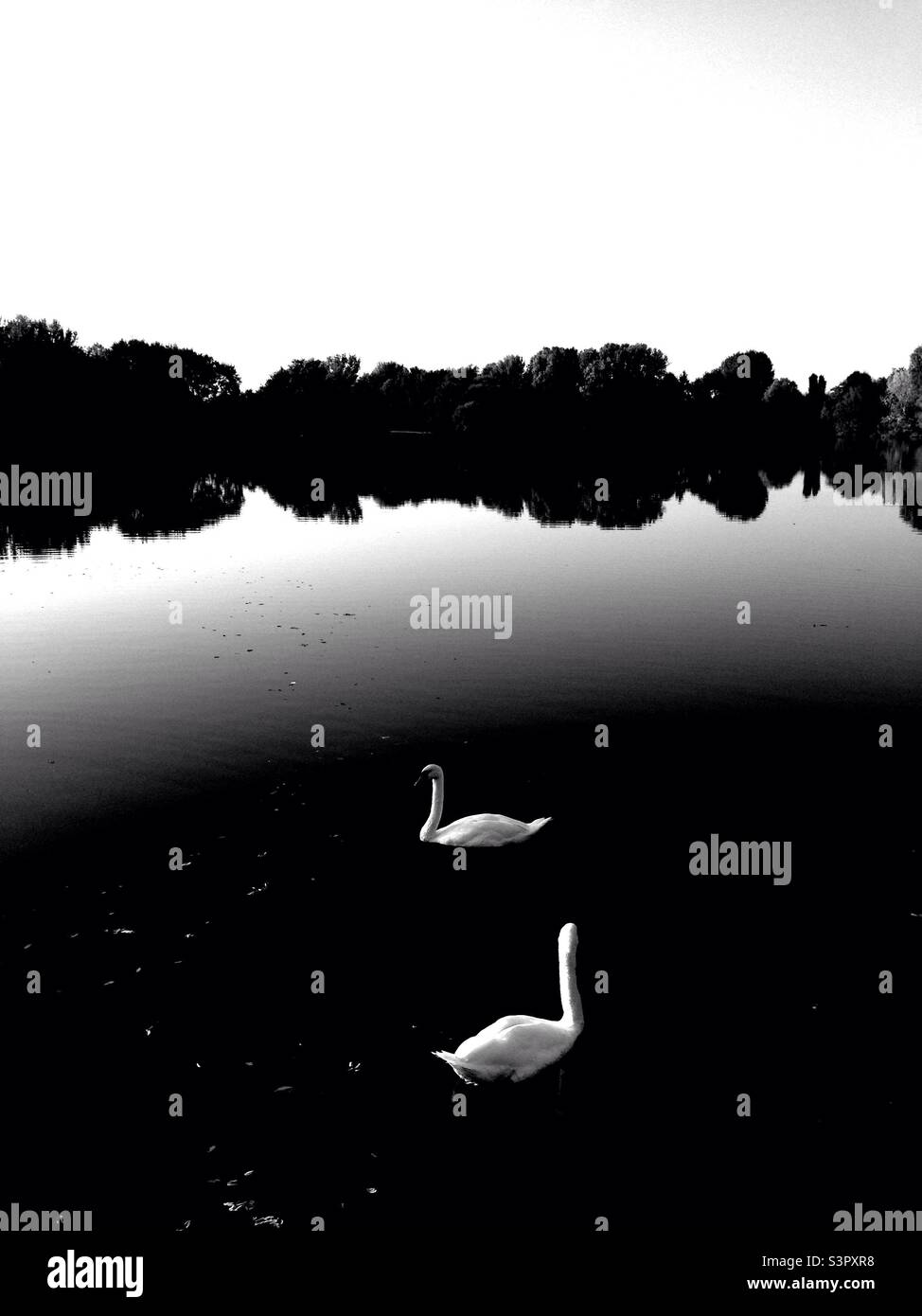 Public park called Parco delle Cave in Milan, Italy - Smartphone Captured Stock Image