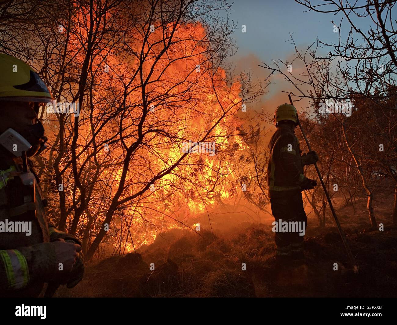 Firefighters tackle a wildfire on Heathland near Yateley in Hampshire, England. Stock Photo
