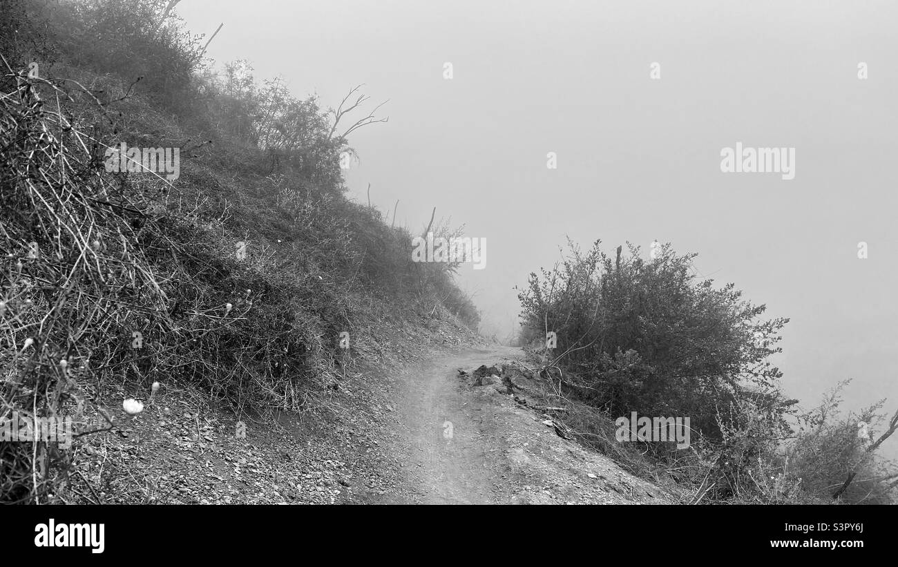 Backbone Trail, hiking path leads into the fog, past scrubby vegetation, early morning in the Santa Monica Mountains, Southern California. Black and white Stock Photo