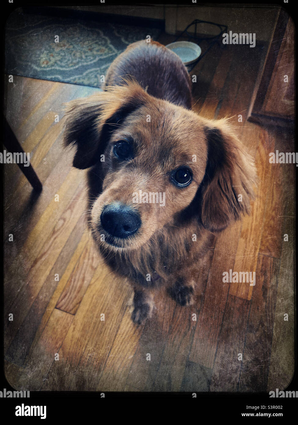 Is it dinner time yet? - Smartphone Captured Stock Image