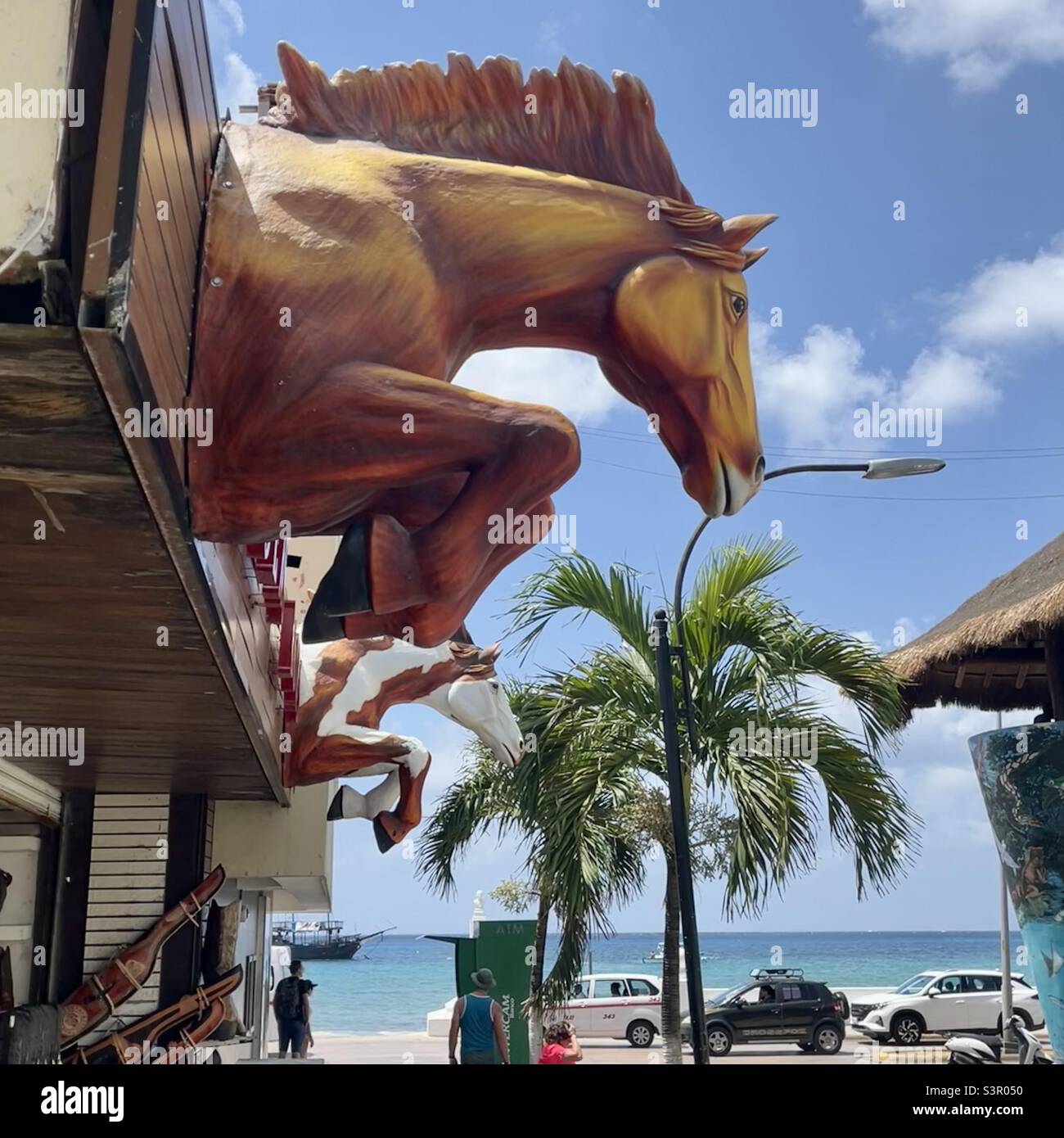 Horses head shop front looking towards the sea at San Miguel Cozumel port Mexico - Smartphone Captured Stock Image
