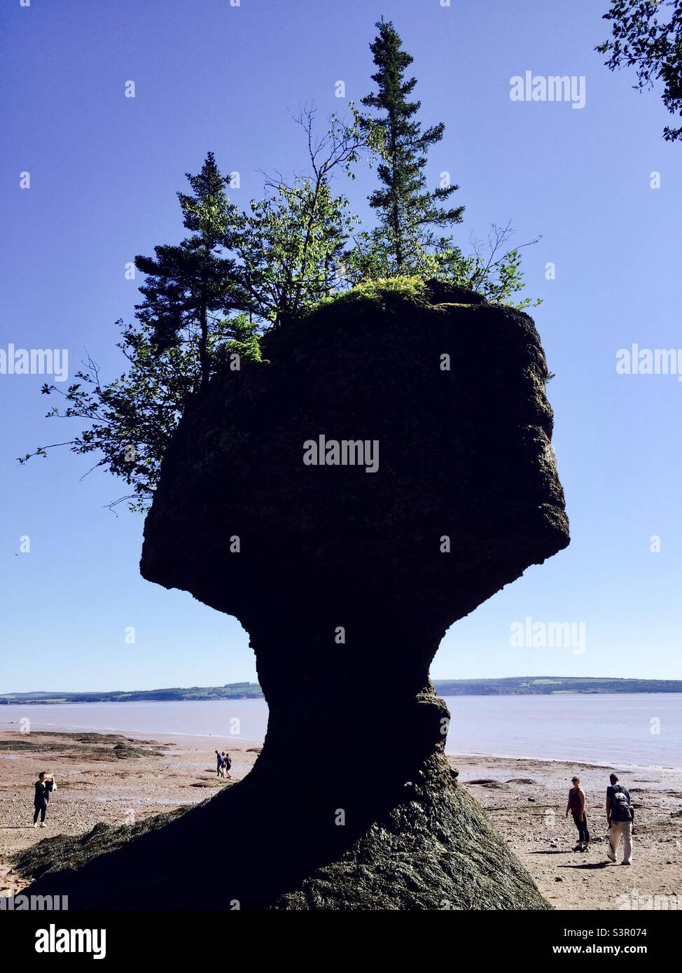 The Hopewell Rocks also known as the flower pots, sea stacks or just The Rocks are stunning whatever you call them. - Smartphone Captured Stock Image