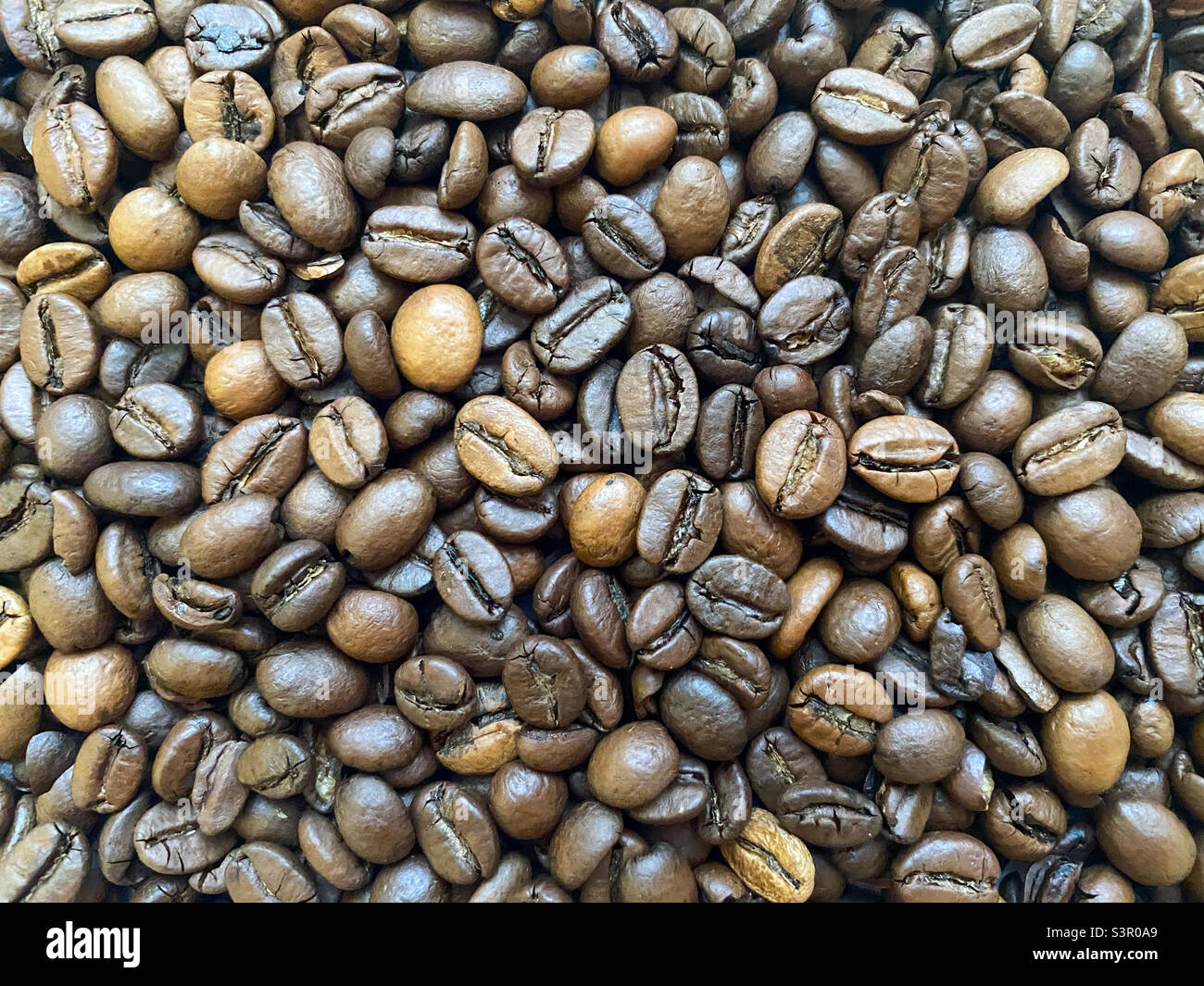 Coffee bean background close-up. Texture of coffee beans - Smartphone Captured Stock Image