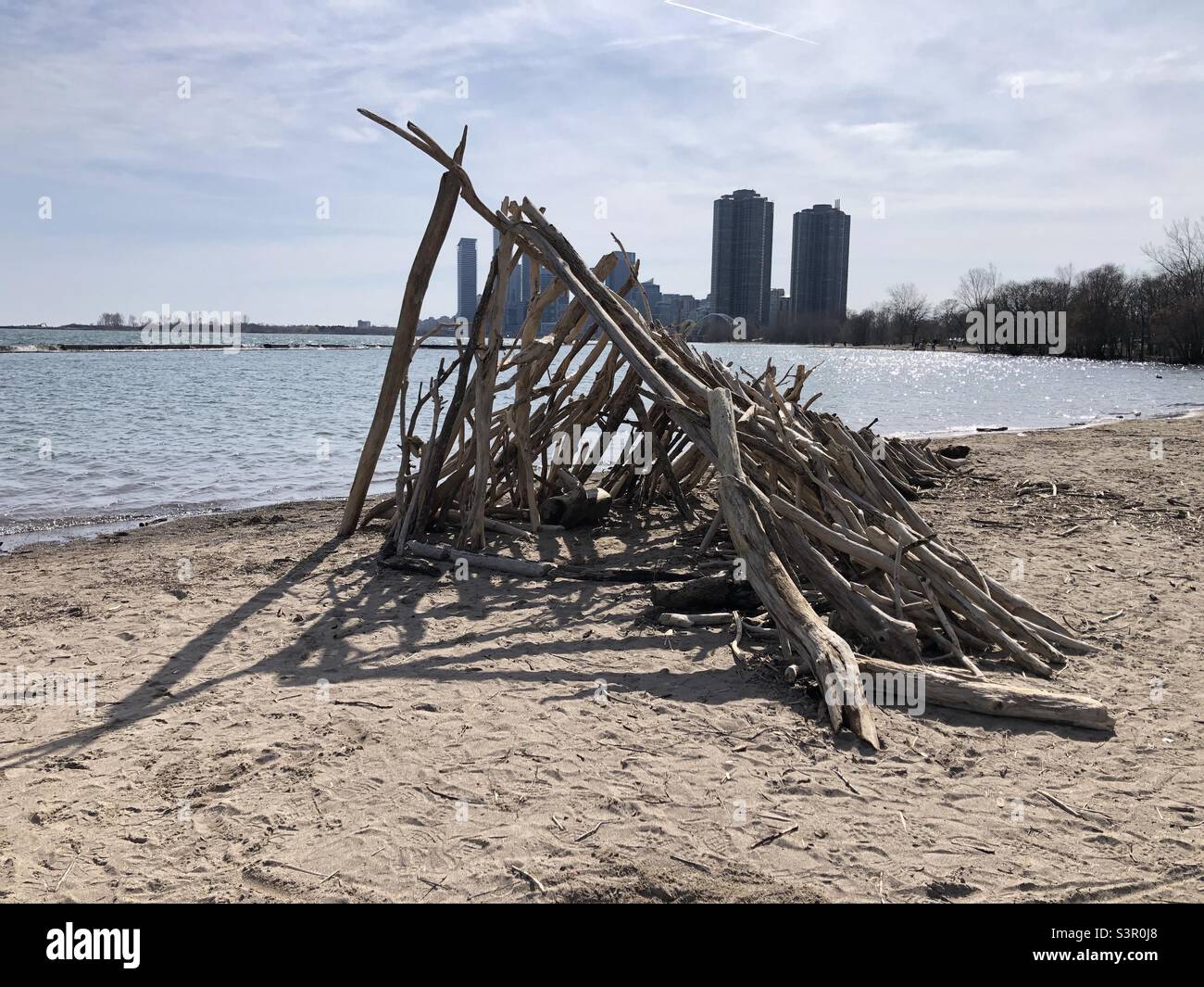 Driftwood sculpture on the beach in Toronto, Canada Stock Photo Alamy