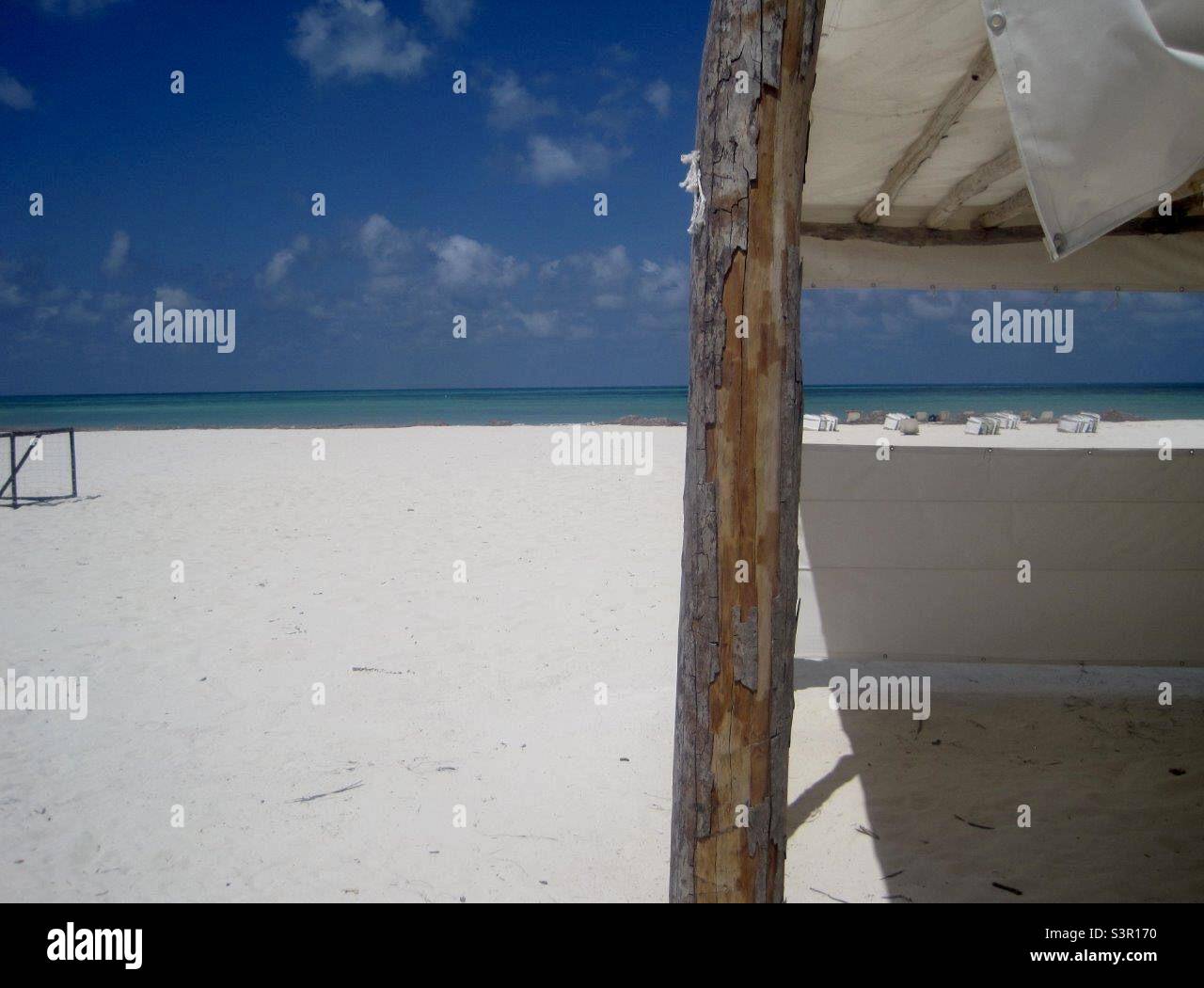 Artsy shot in paradise at the Isla de la Pasión, Cozumel Mexico. Stock Photo
