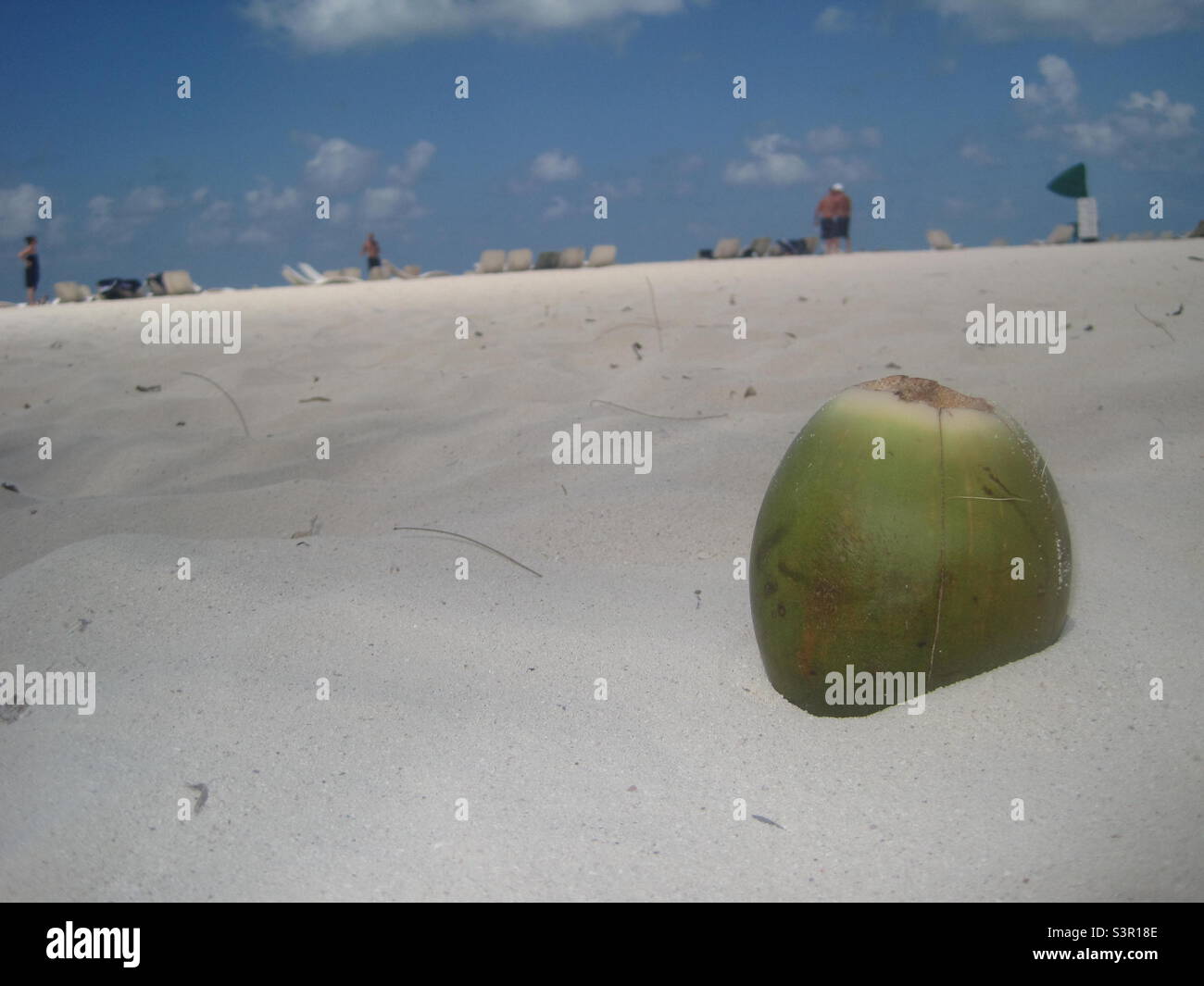 Macro coconut in paradise on the Isla de la Pasión in Cozumel, Mexico. Stock Photo