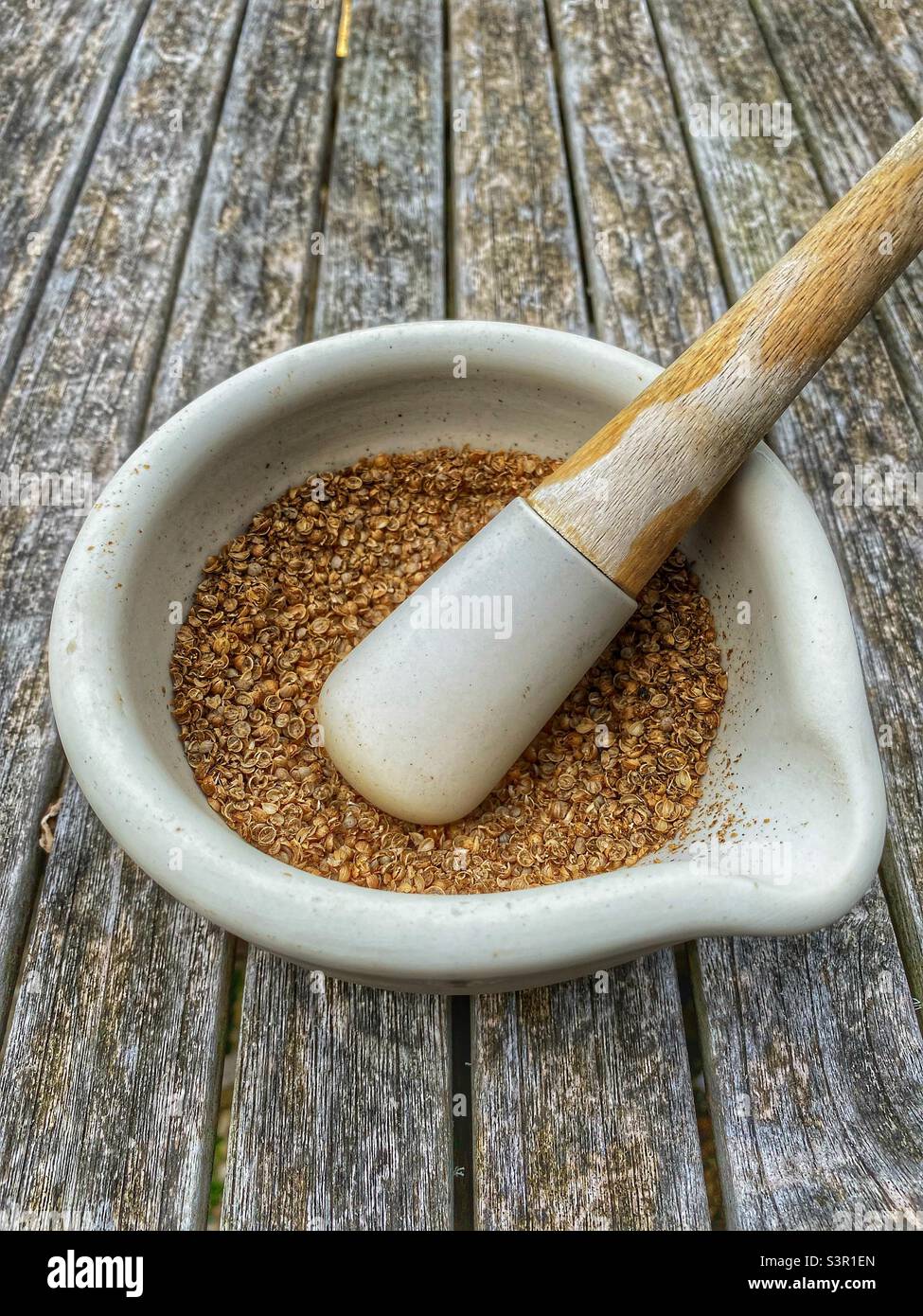 Crushed coriander seeds Stock Photo