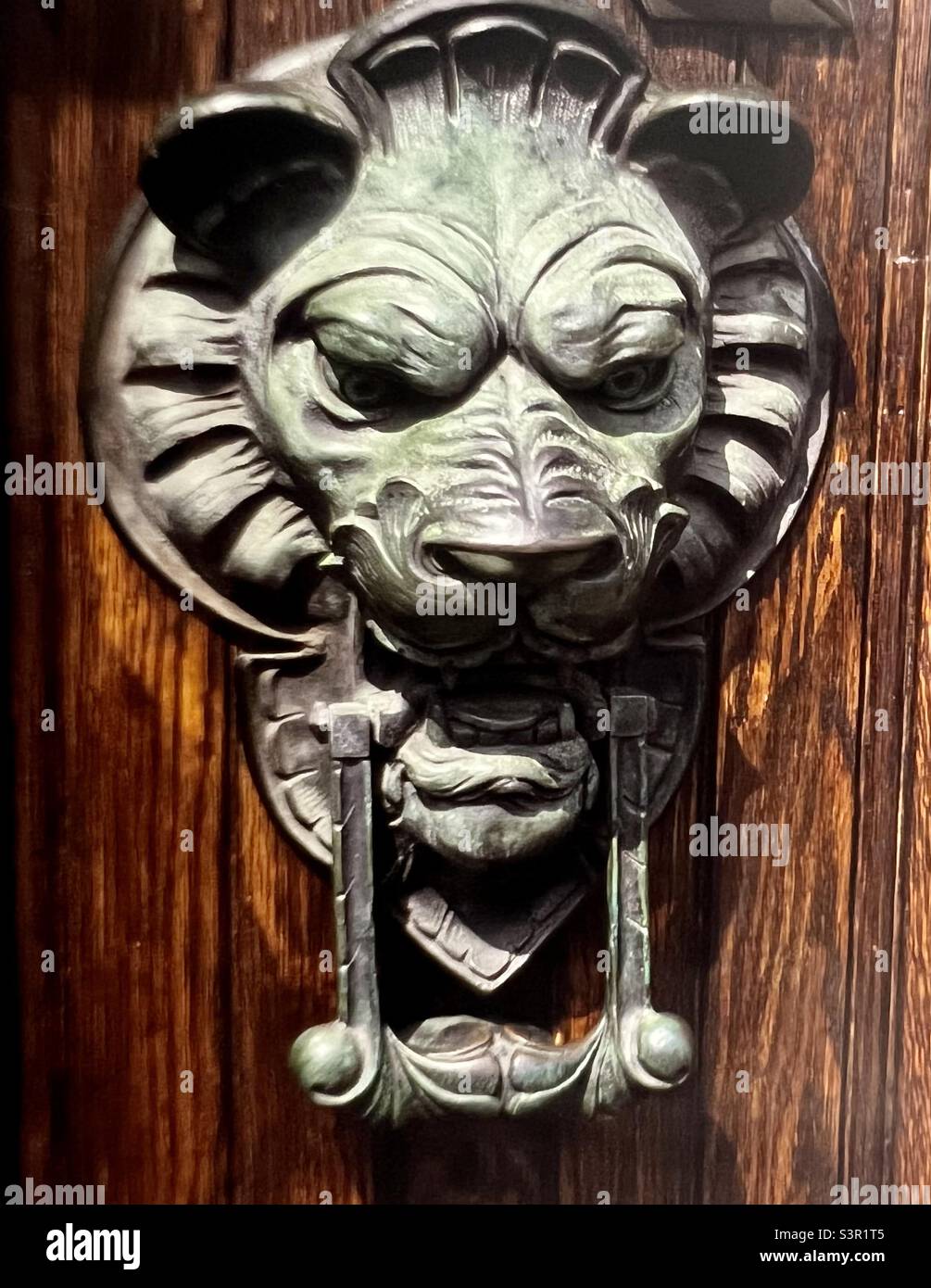 Antique Animal Door knocker on wooden door Beacon Hill Boston - Smartphone Captured Stock Image