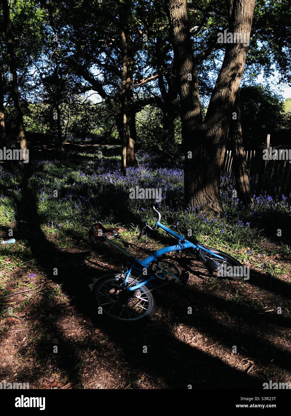 Blue  coloured folding bicycle left on grand in a park on a spring day - Smartphone Captured Stock Image