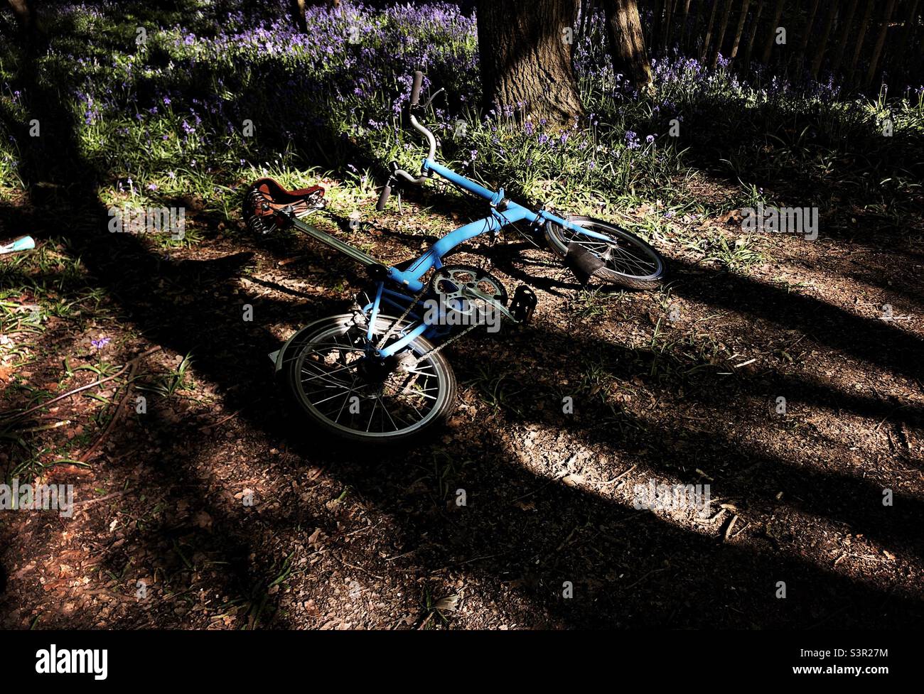 Blue coloured folding bike in a park Stock Photo