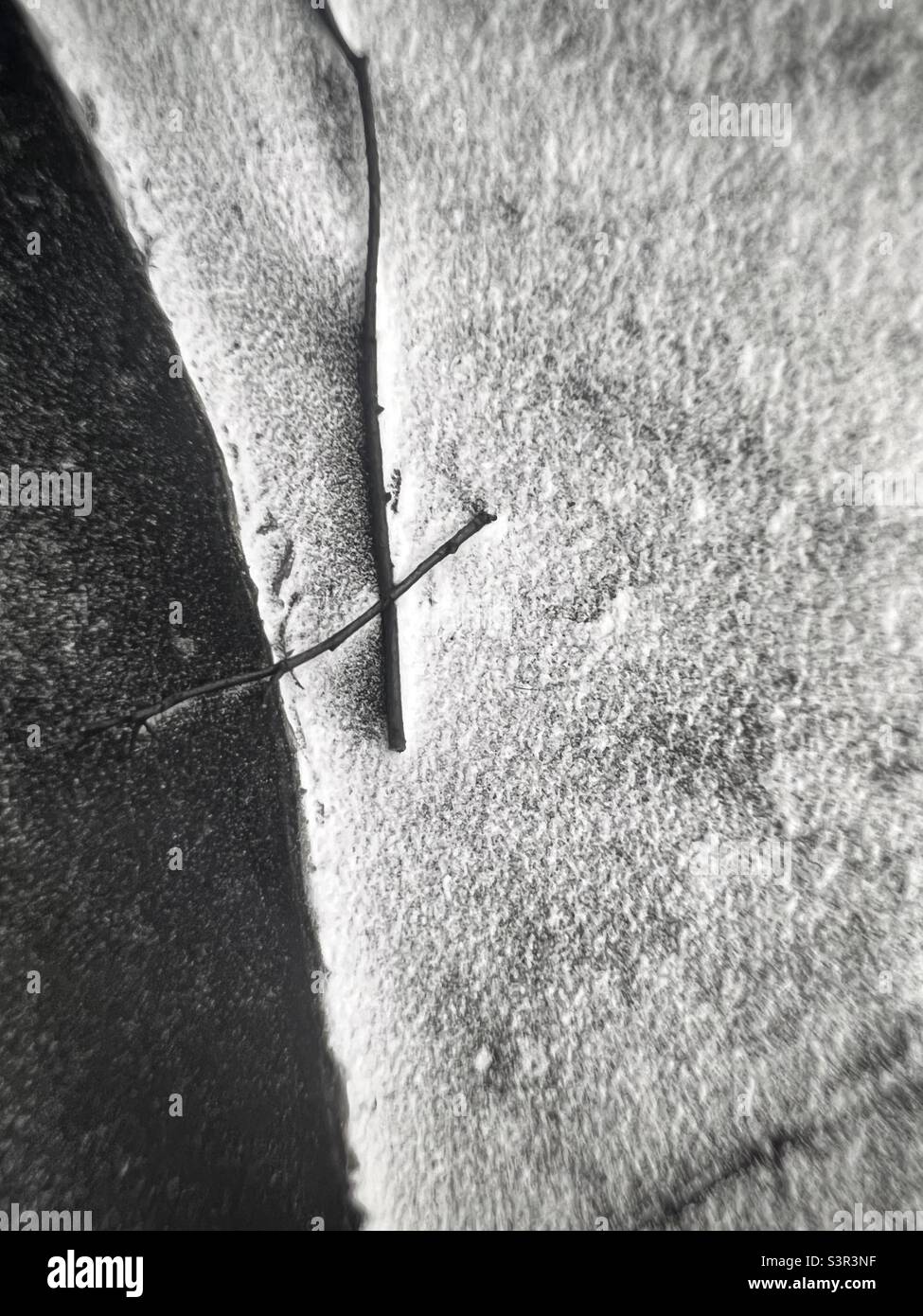 Abstract composition twigs on paper - Smartphone Captured Stock Image