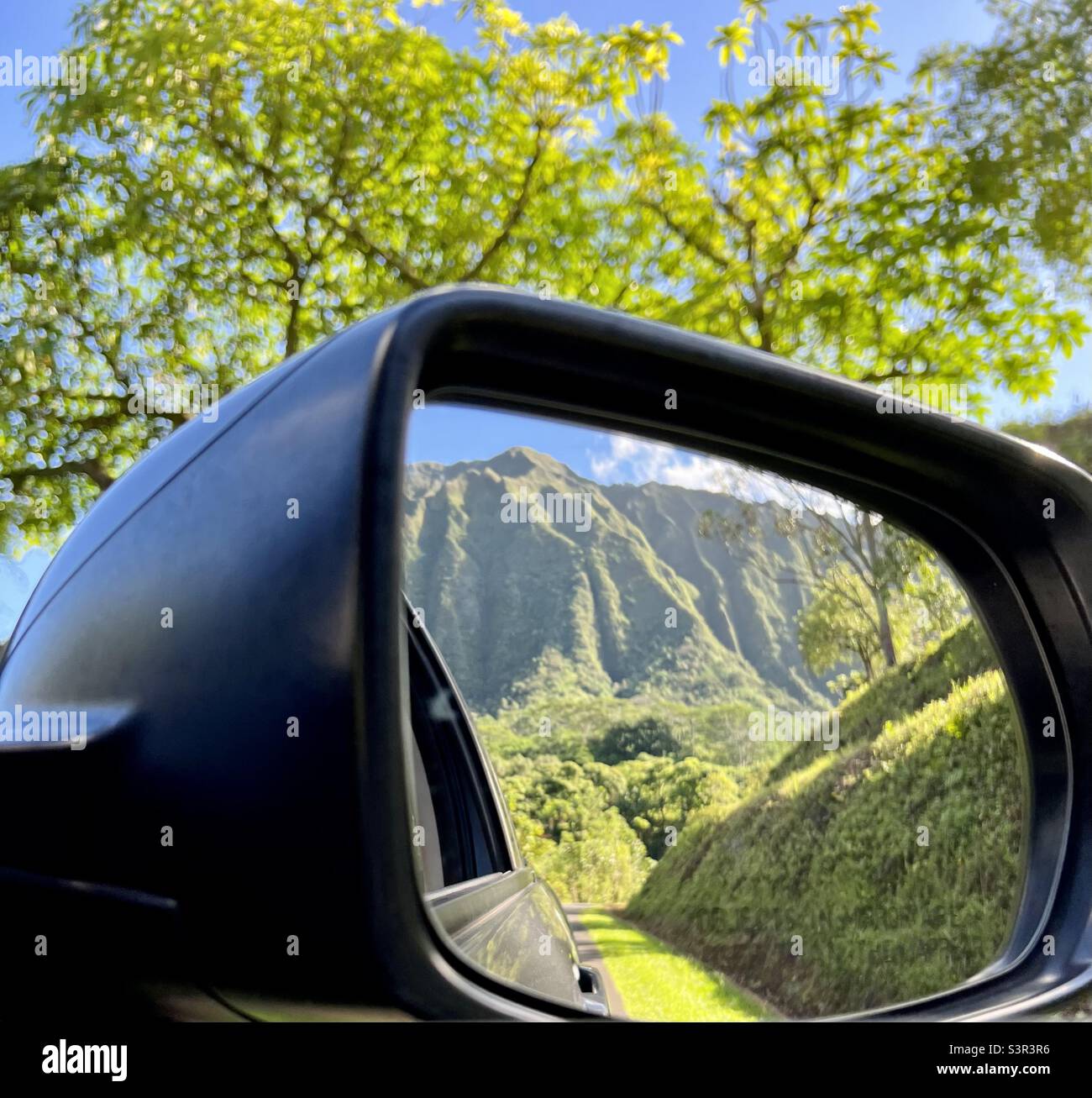 Side mirror view at Hoʻomaluhia Botanical Garden  in Kaneohe, Hawaii on Oahu - Smartphone Captured Stock Image