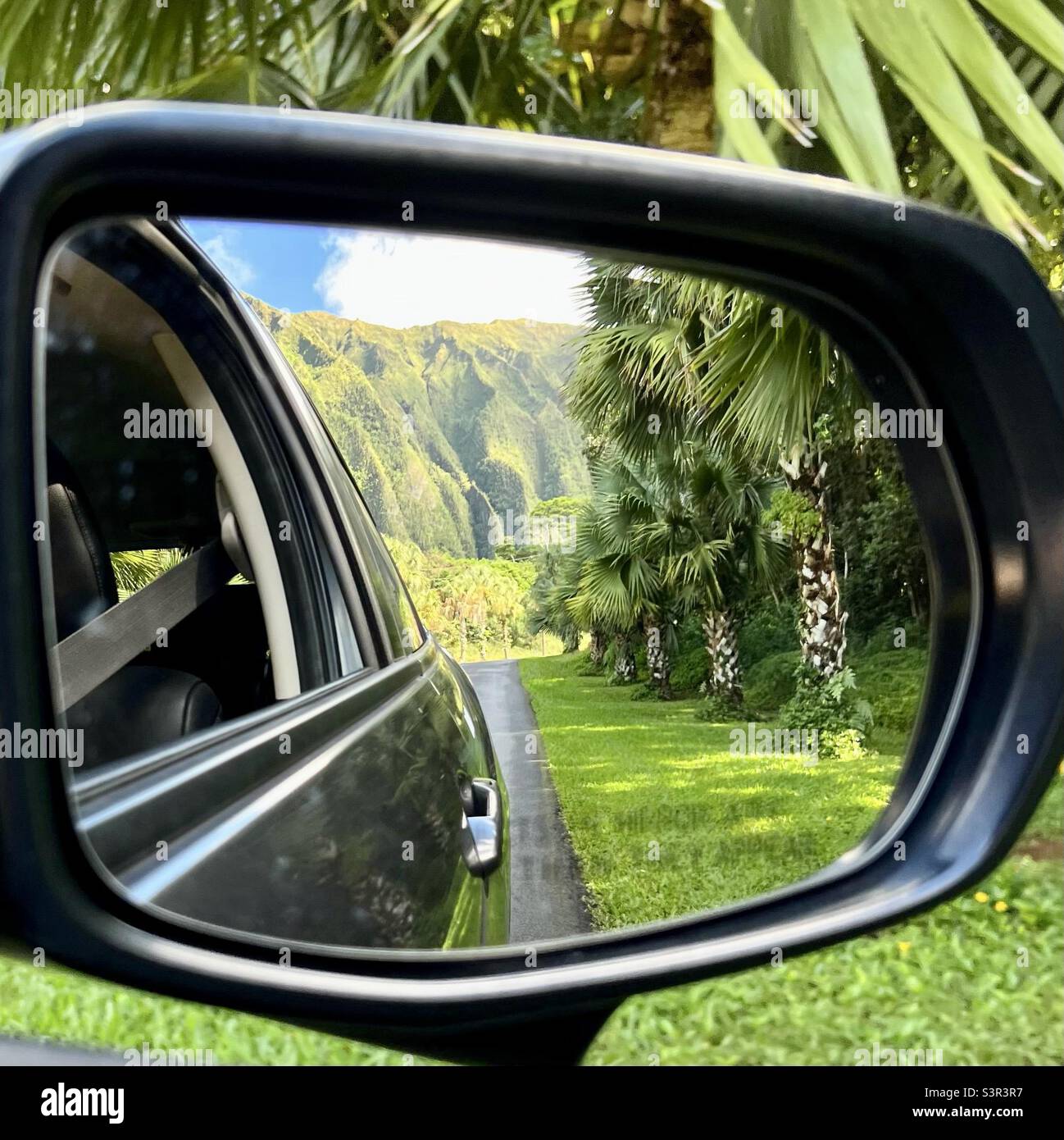 Hawaiian road trip driving through Hoʻomaluhia Botanical Garden in Kaneohe, Hawaii on Oahu - Smartphone Captured Stock Image