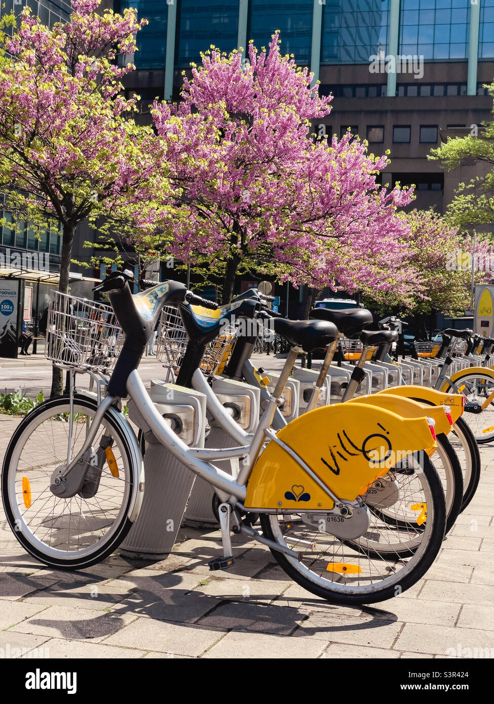 City rental bikes during springtime in Brussels - Smartphone Captured Stock Image
