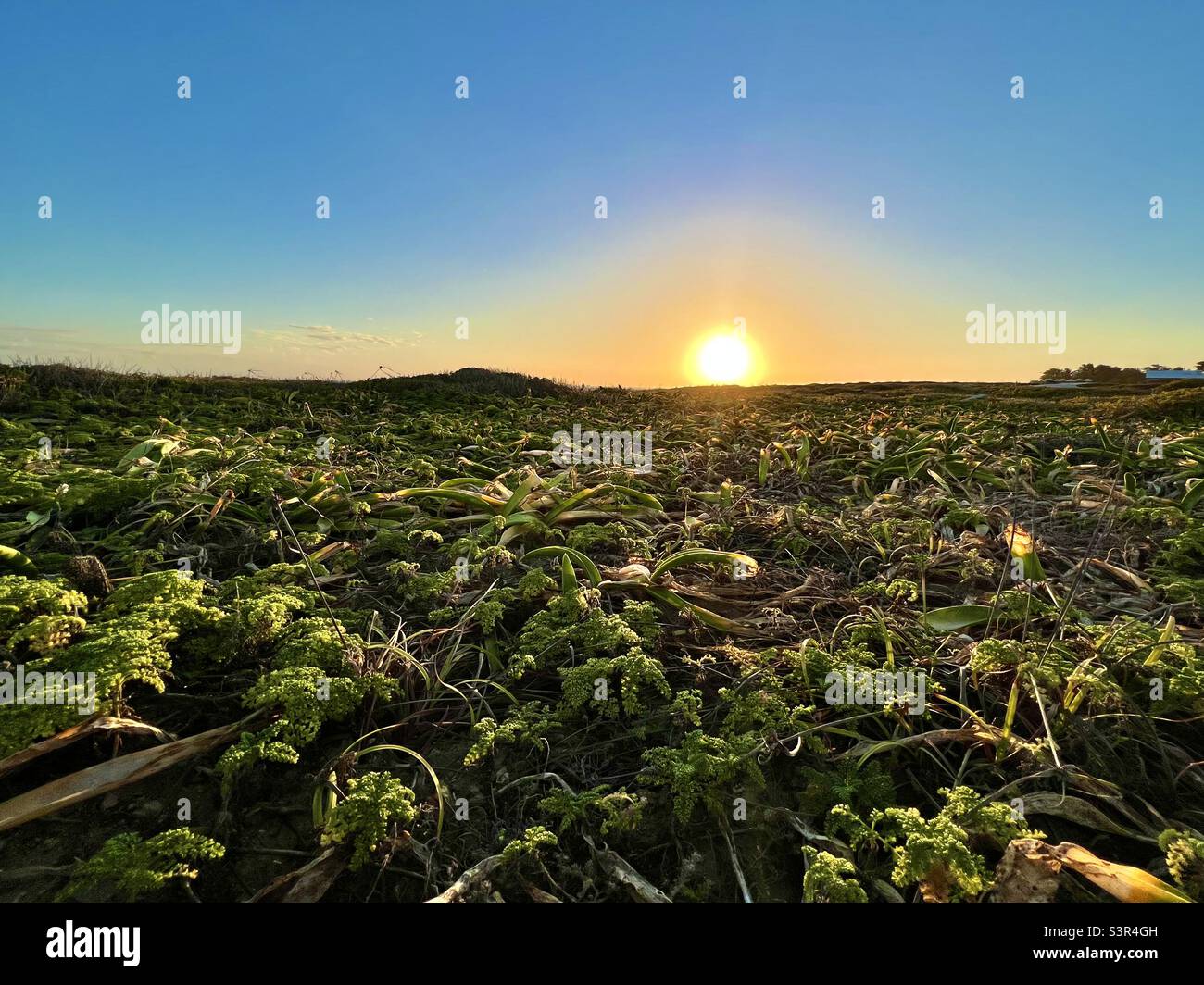 Sunset at Punta Sur.  Isla Mujeres, Mexico Stock Photo