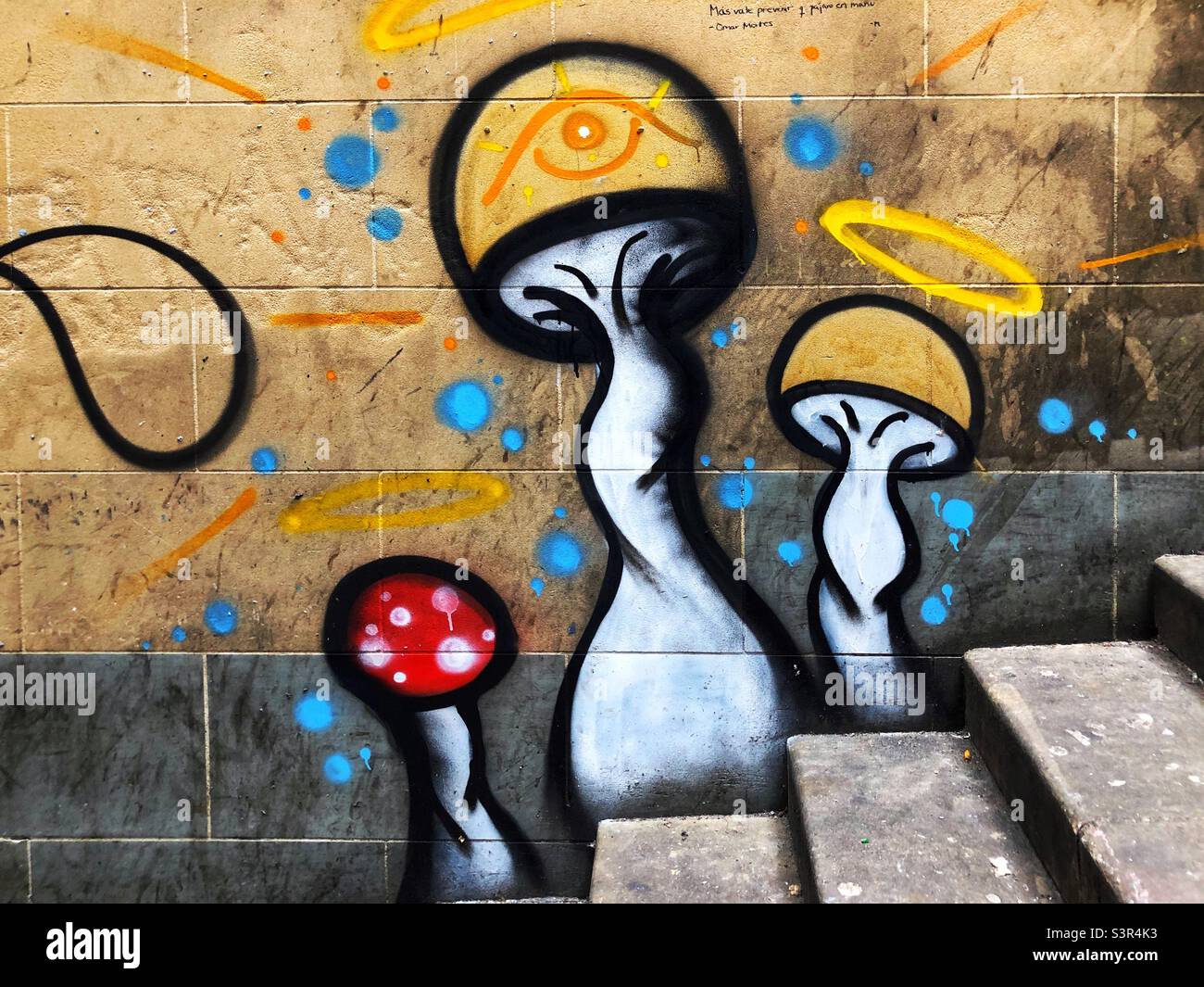 Mushroom graffiti art in alley Stock Photo Alamy