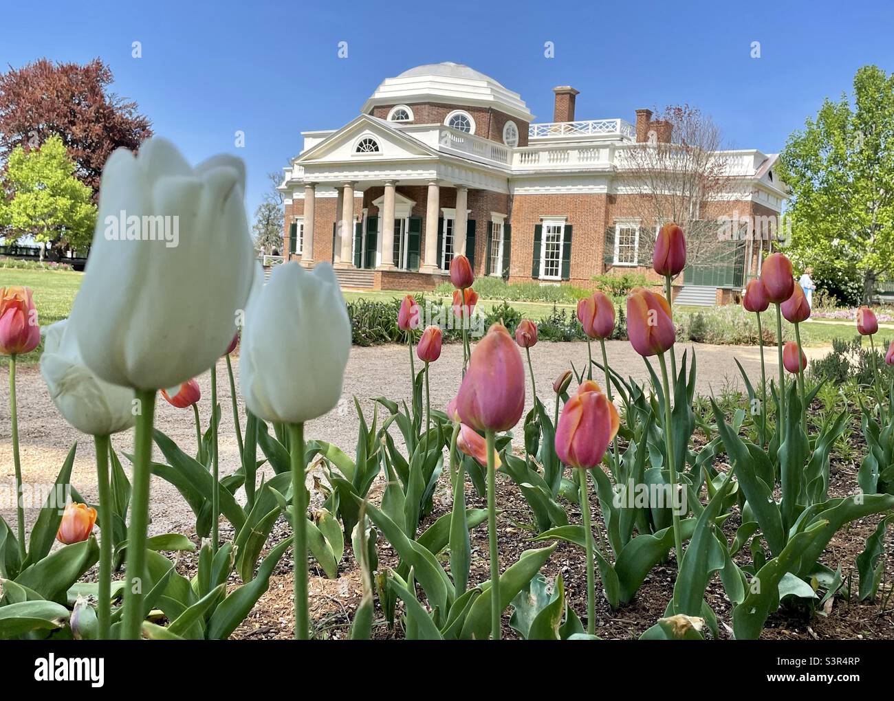Monticello, the Virginia home of Thomas Jefferson. Stock Photo