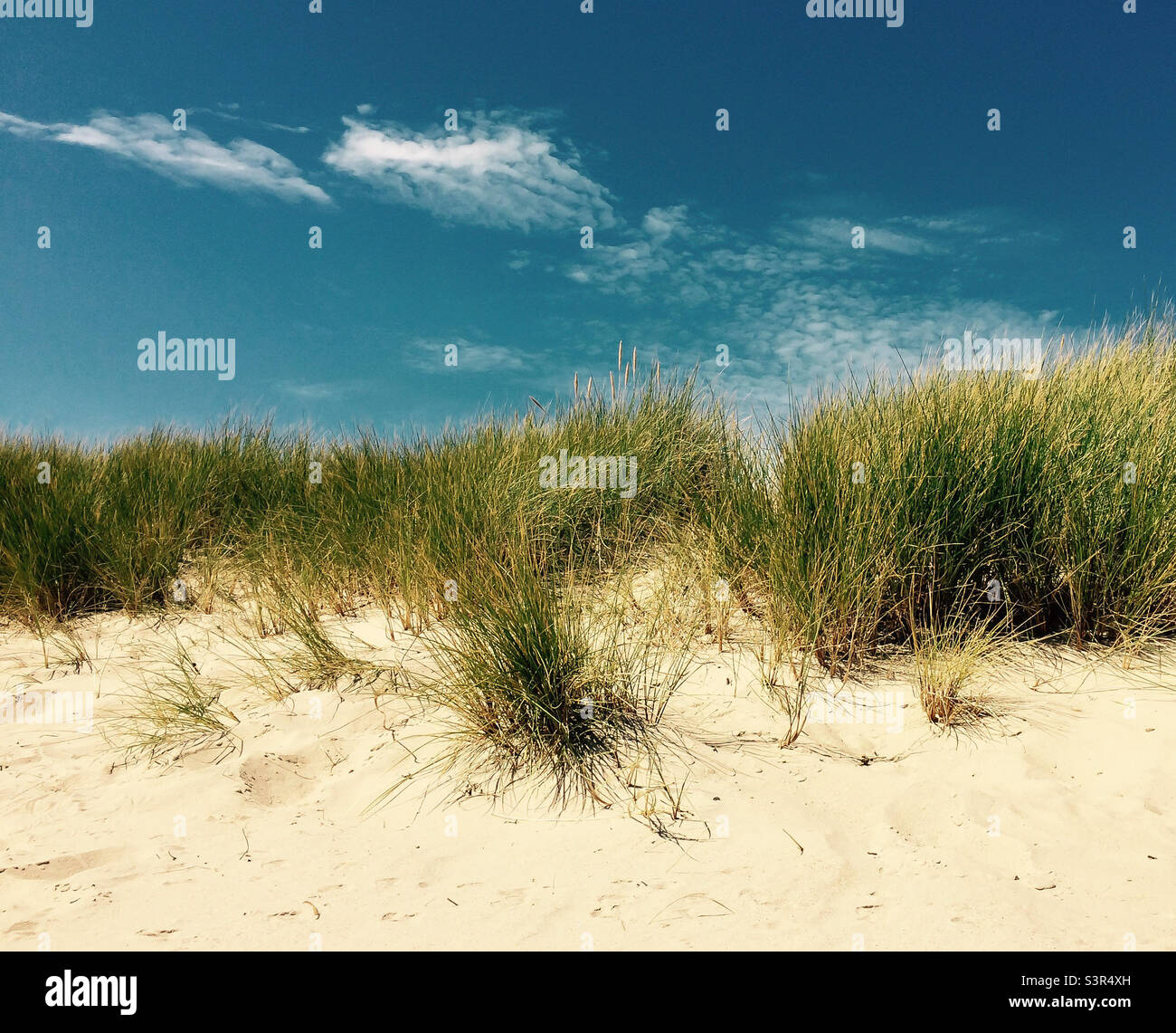 Sand dunes with tufty green grass , blue sky and wispy white clouds on ...