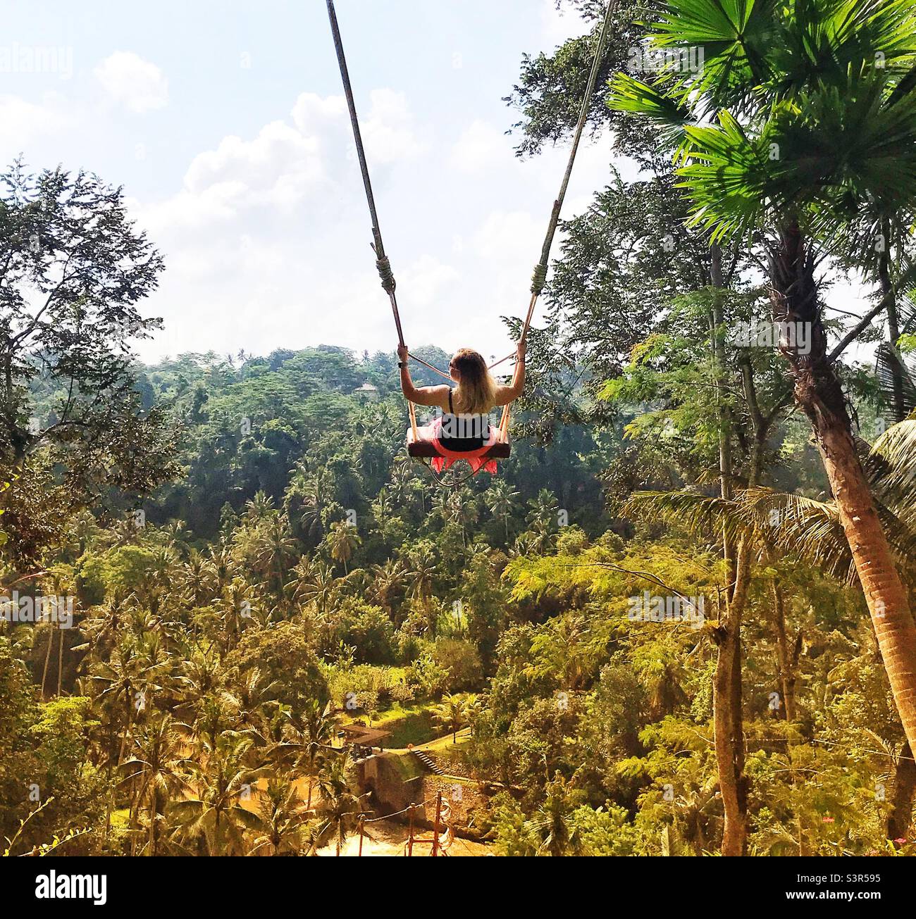 Woman on swing seat hi-res stock photography and images - Alamy