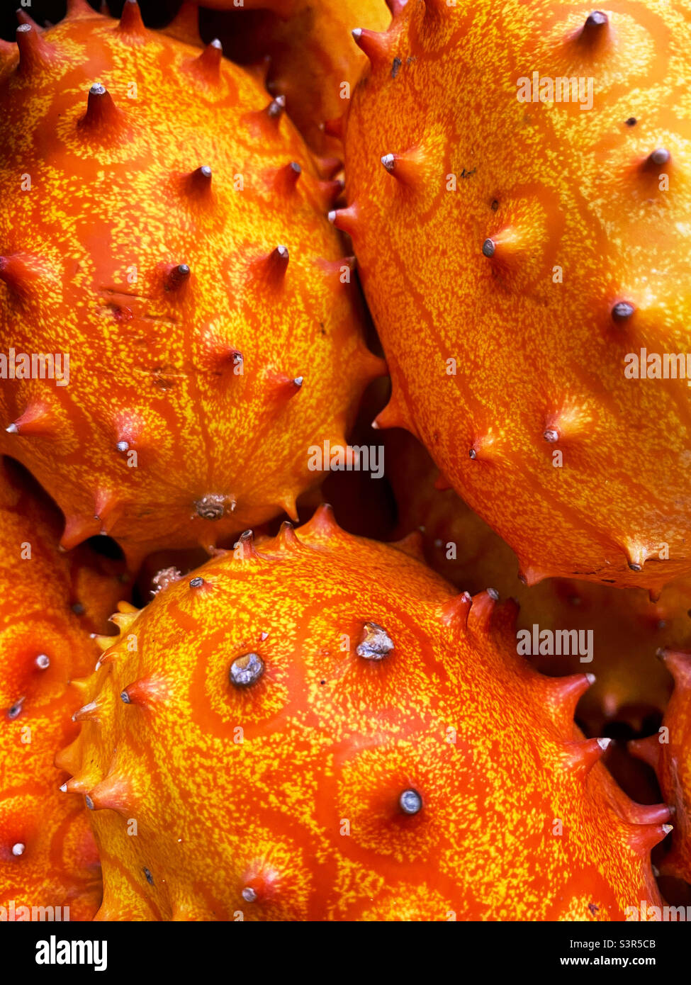 Kiwanis melons Stock Photo