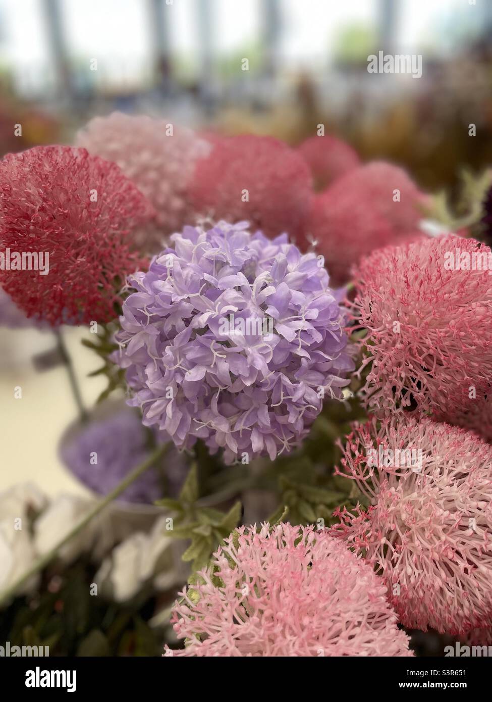 Very good flower hires stock photography and images Alamy