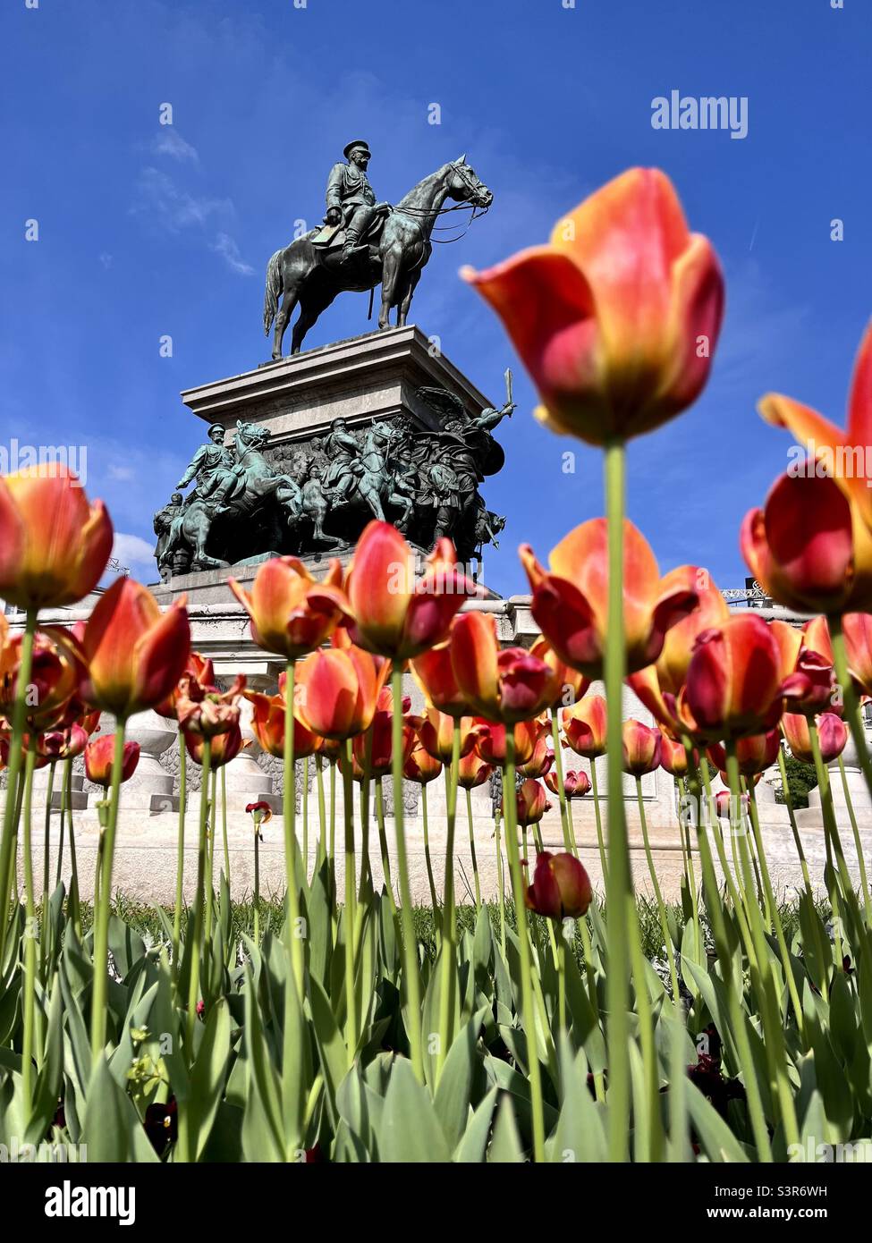 Tsar Liberator Alexander II equestrian statue monument and red tulips at the National Assembly in Sofia Bulgaria, Eastern Europe, Balkans, EU - Smartphone Captured Stock Image
