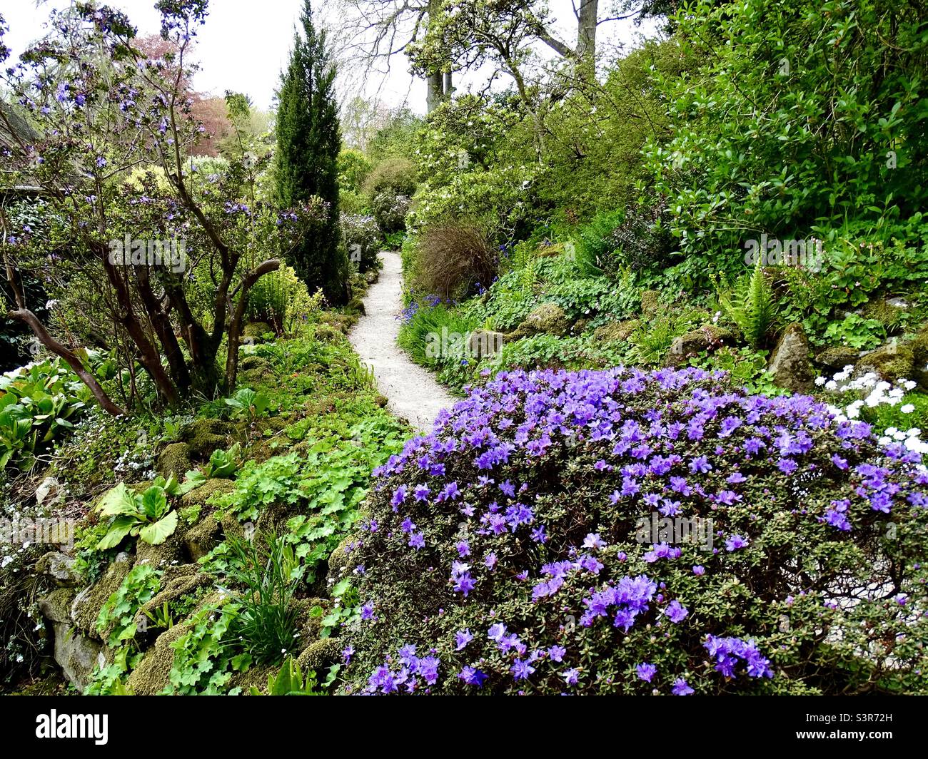 Beautiful garden in a park near Llangollen in Wales in springtime Stock Photo