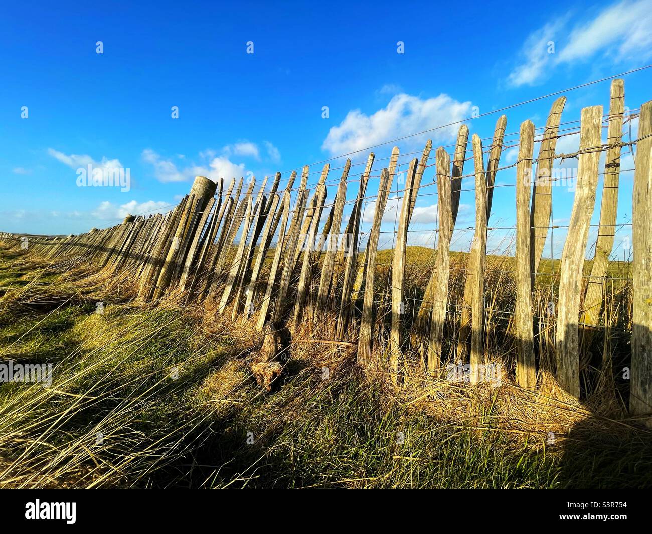 Wooden fence on the boundary of the Royal Welsh Golf course at Porthcawl, South Wales, April. Stock Photo