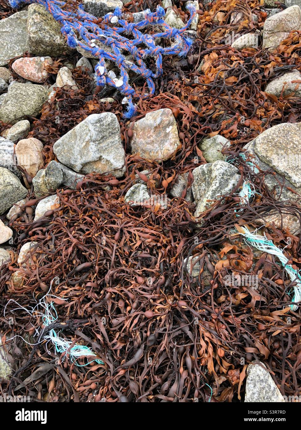 Plastic pollution with nylon fishing netting discarded on a remote beach on the Isle of Lewis, Scotland,United Kingdom - Smartphone Captured Stock Image