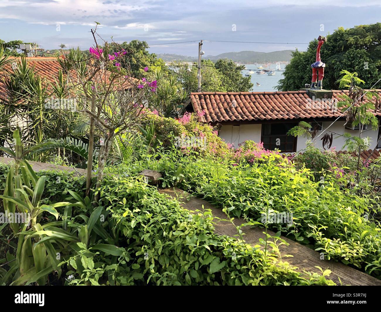 A lush garden oasis in Buzios, Brazil. - Smartphone Captured Stock Image
