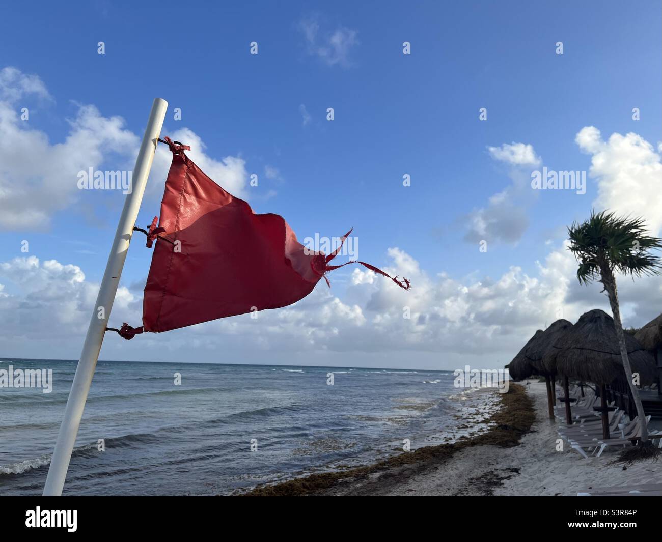Red flag flying on Mexican beach, Caribbean Sea - Smartphone Captured Stock Image