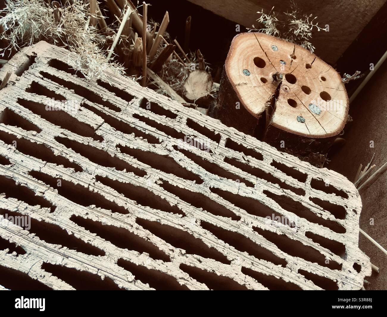 Close-up of insect hotel - Smartphone Captured Stock Image