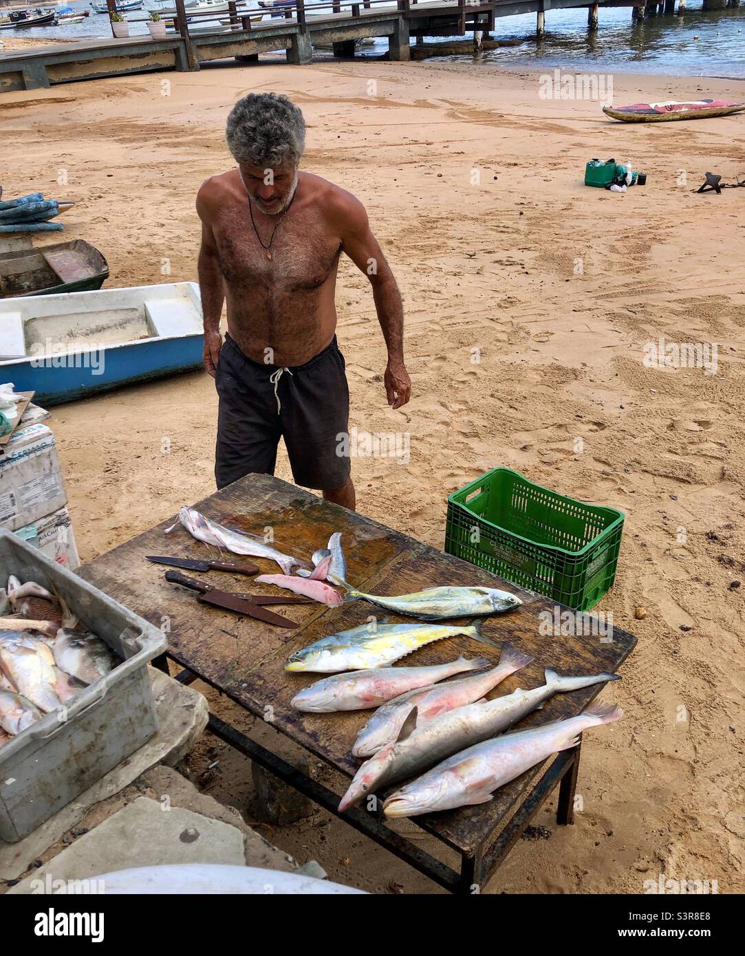 Catch of the day in Buzios, Brazil. Stock Photo