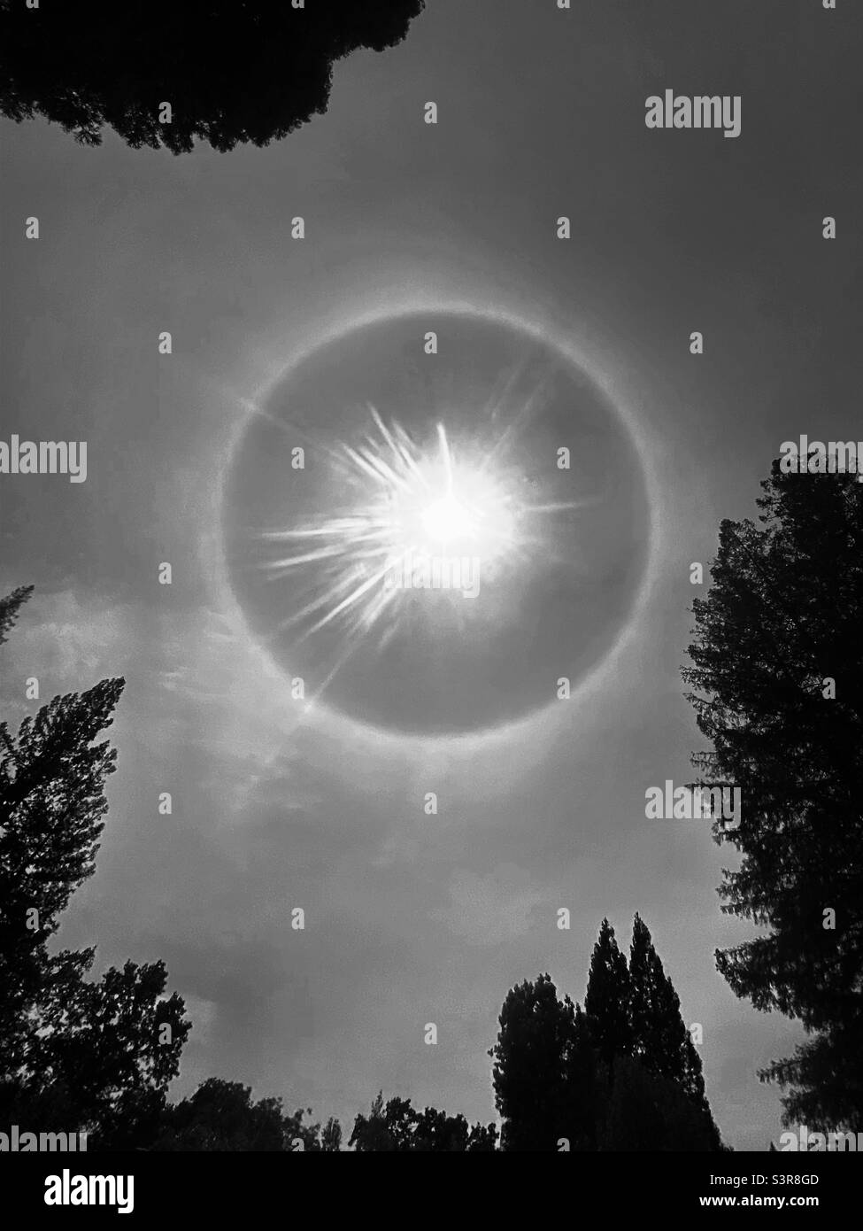 Sunscape, overhead, surrounded by trees - Smartphone Captured Stock Image