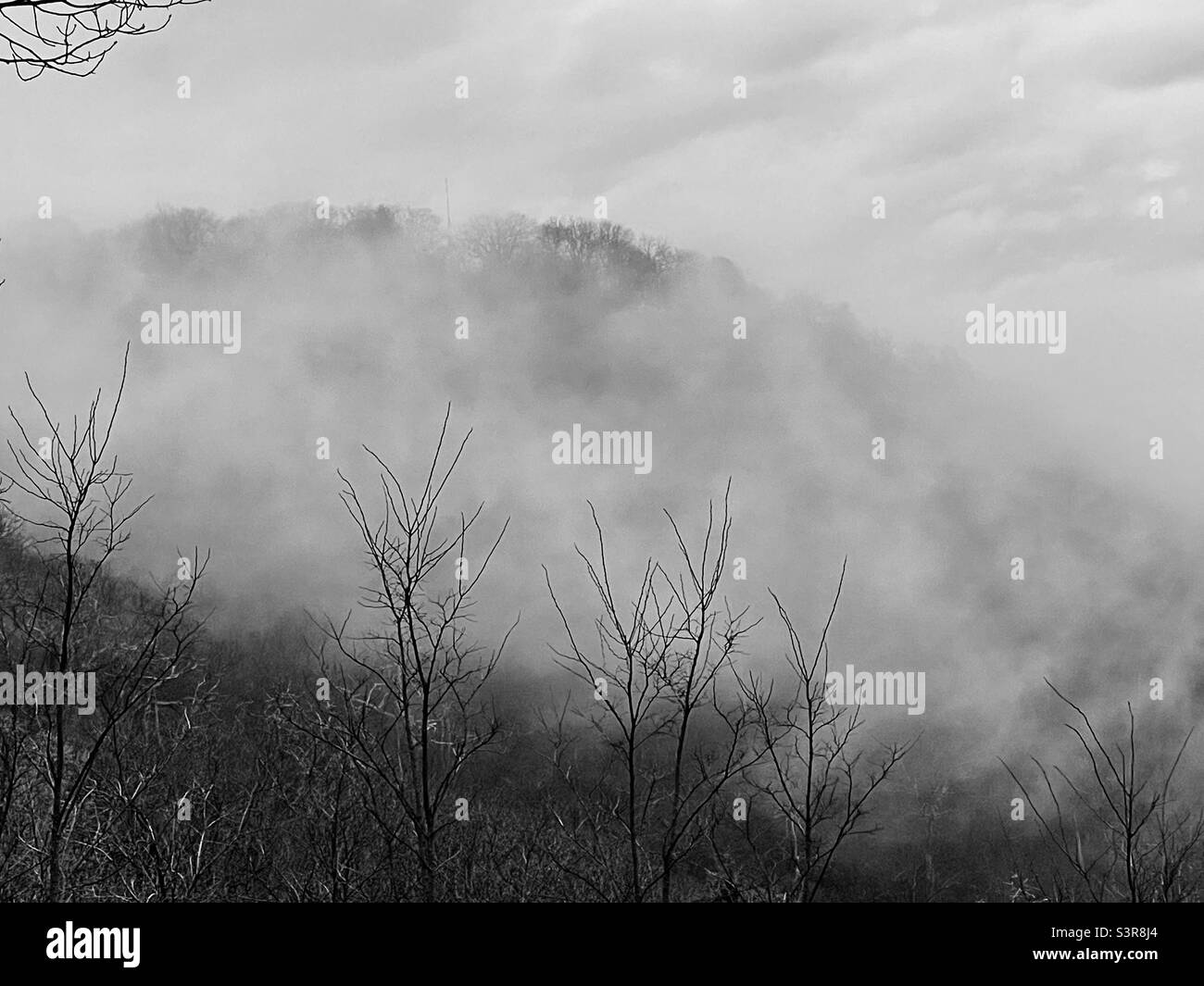 Fog at Shenandoah National Park, VA Stock Photo