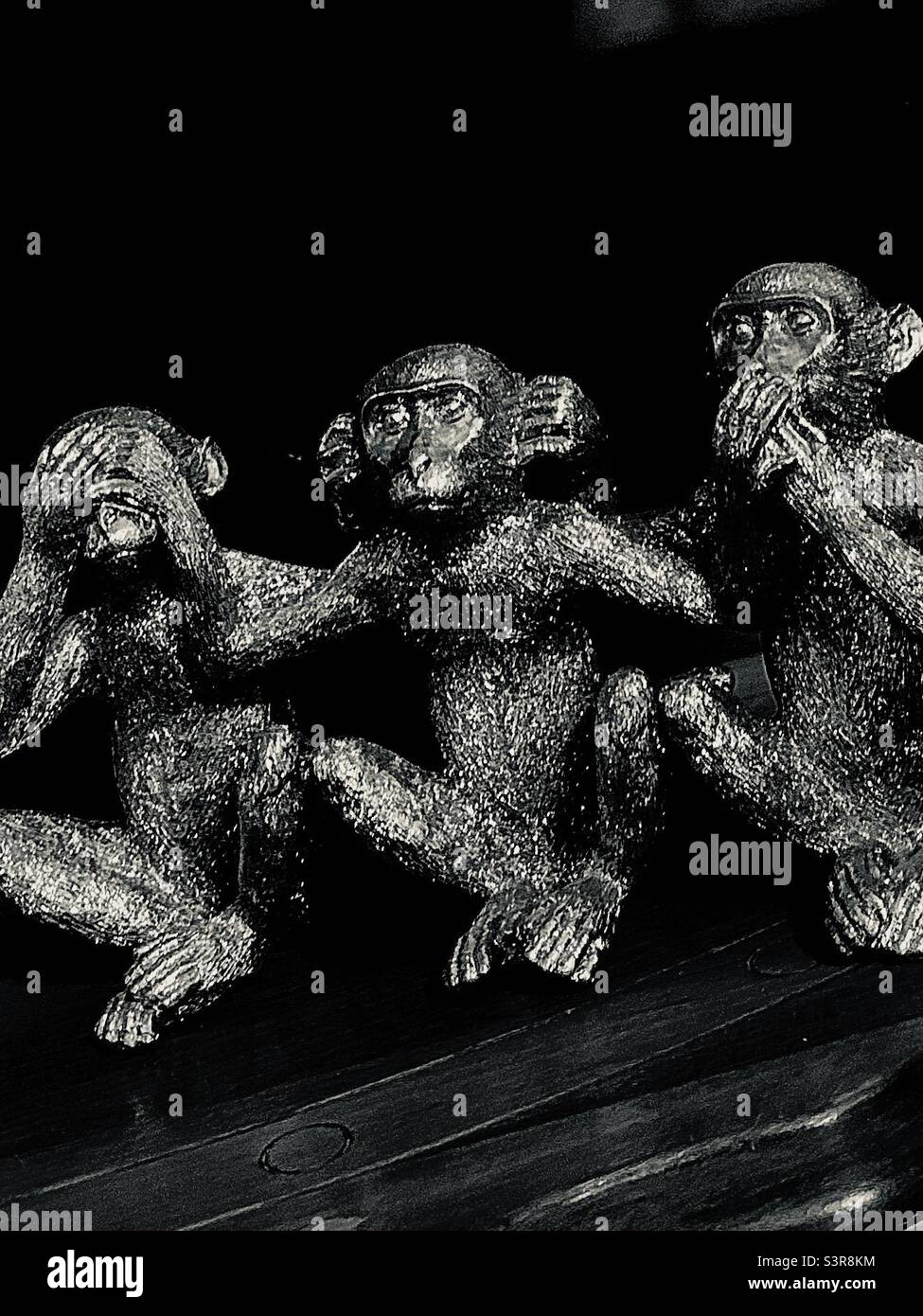 See No Evil - Smartphone Captured Stock Image