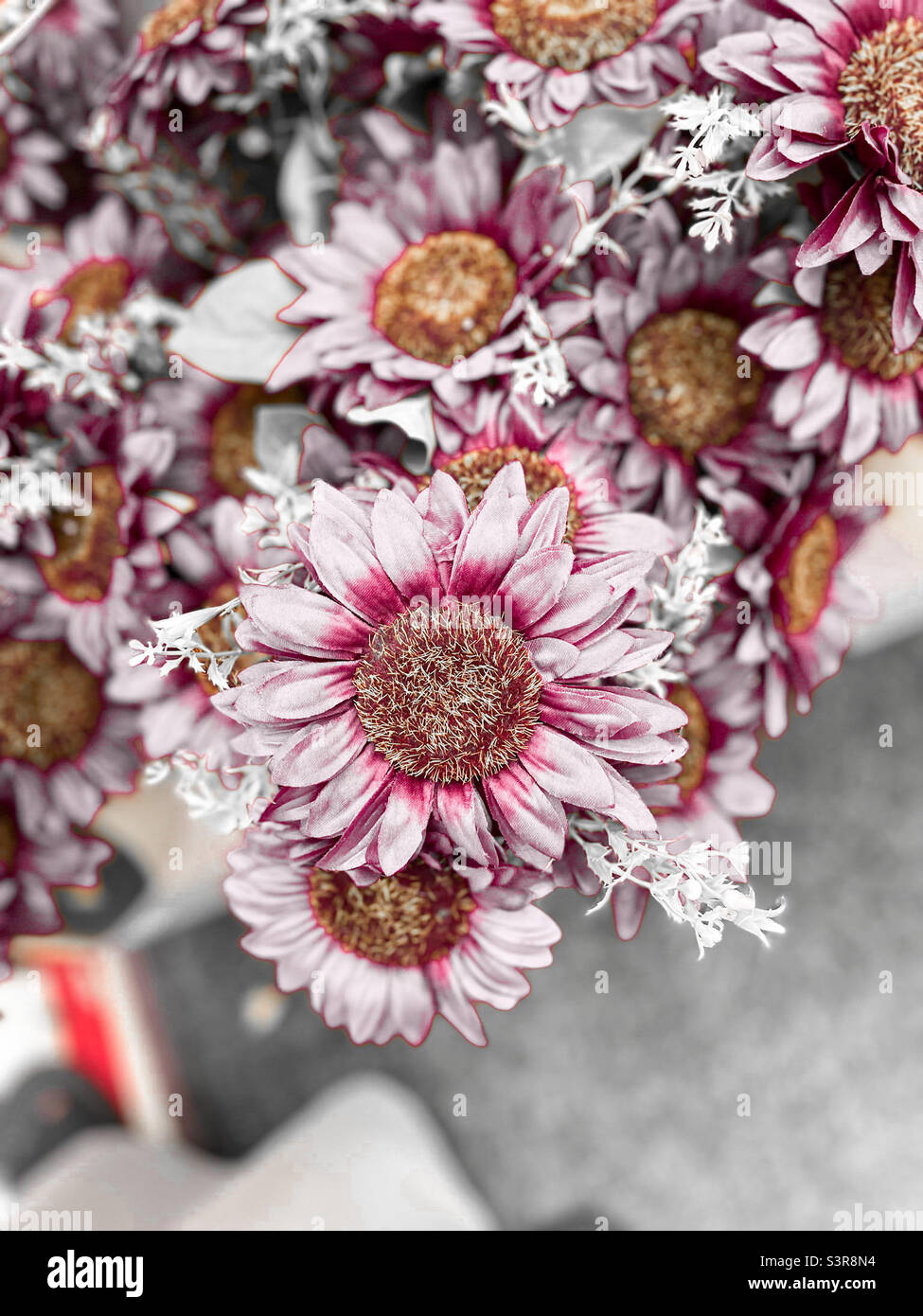 Flower beautiful Stock Photo