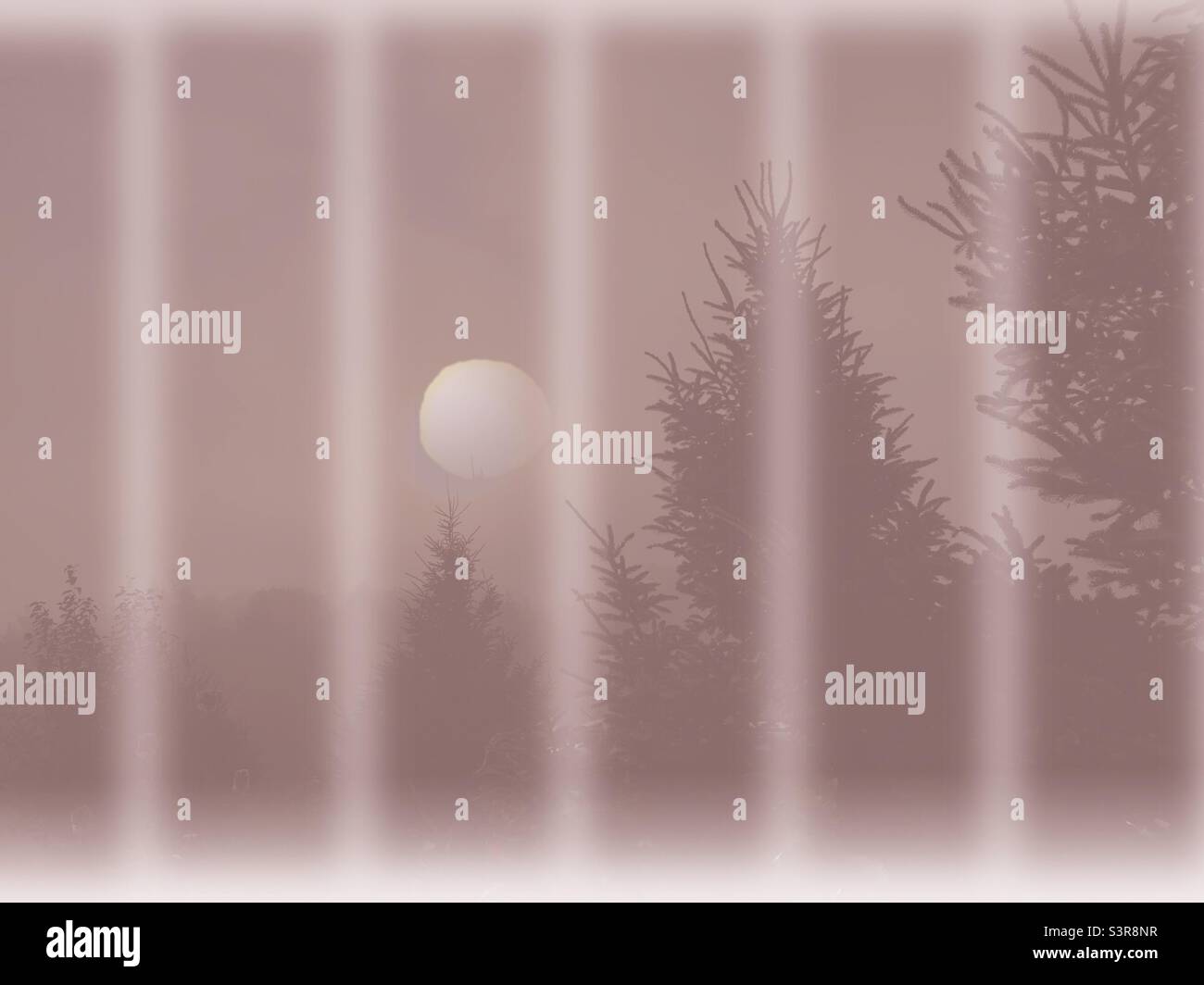 Hazy winter morning, the sun rising lazily beyond the evergreens, Halifax, Nova Scotia, Canada. A moody mid-winter scene. Impressionistic image. - Smartphone Captured Stock Image