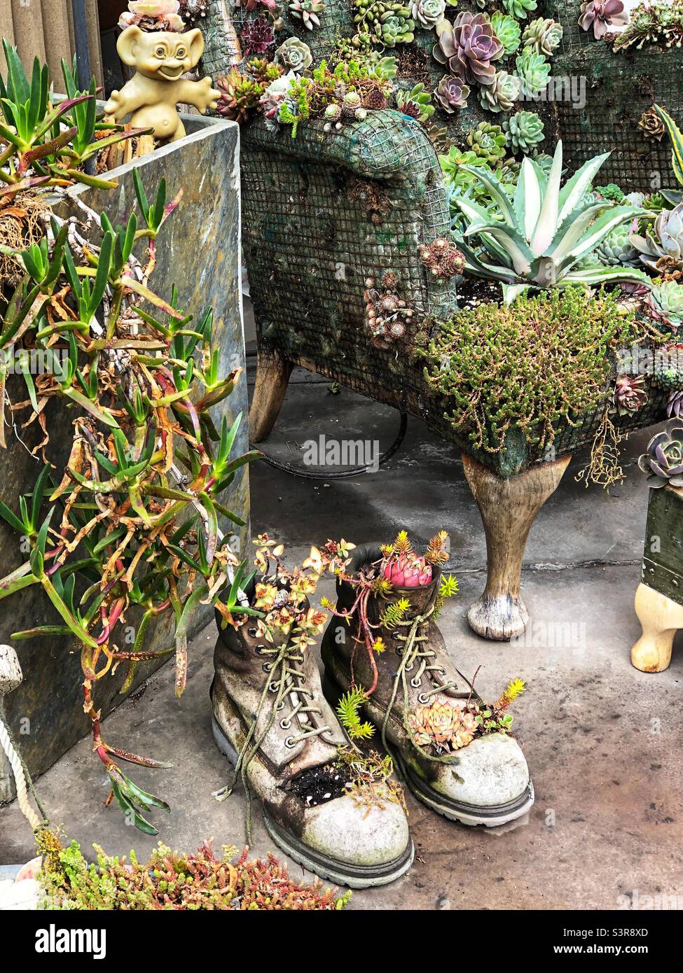 Old boots repurposed as a Minature flower garden - Smartphone Captured Stock Image