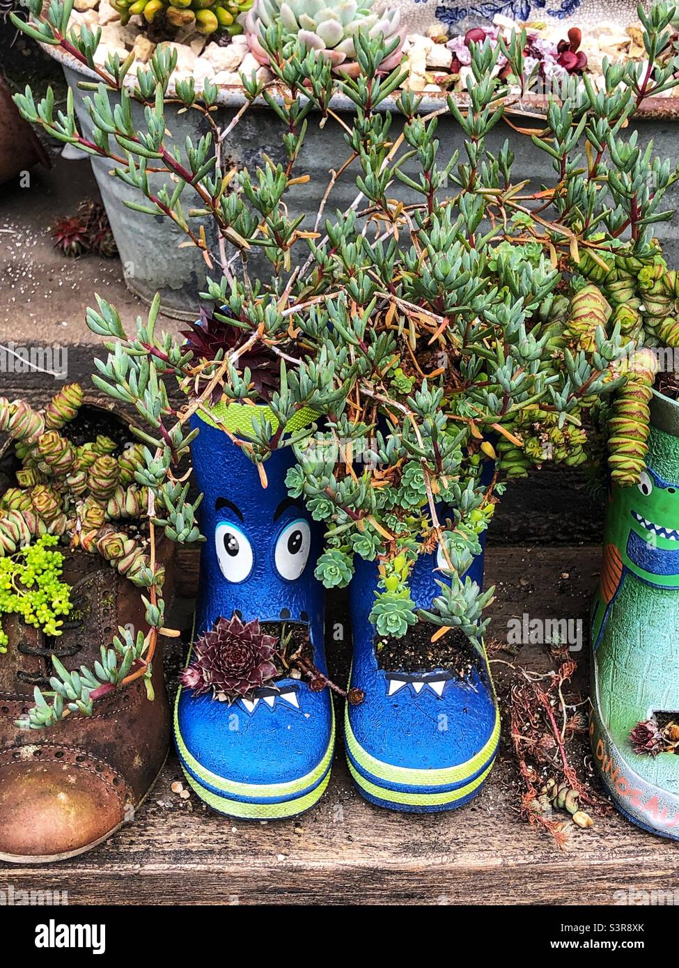 Old boots repurposed as a Minature flower garden - Smartphone Captured Stock Image
