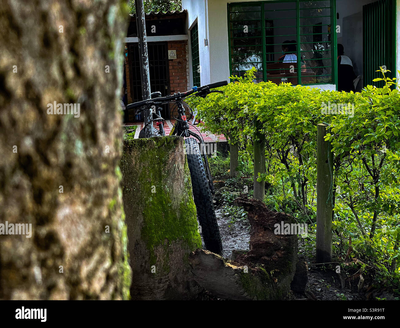 hidden motor road bike