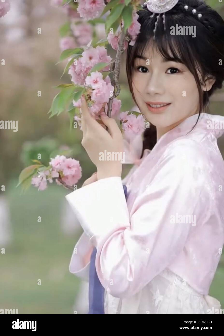 Lady wearing a pink Kimono with cherry blossom. Stock Photo