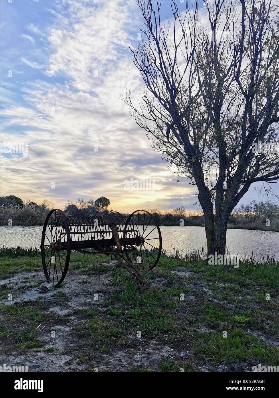 rusty plow at sundown in the Camargue Stock Photo
