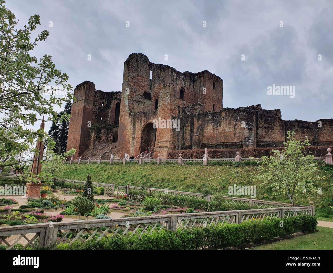 Growth and Decay - Smartphone Captured Stock Image