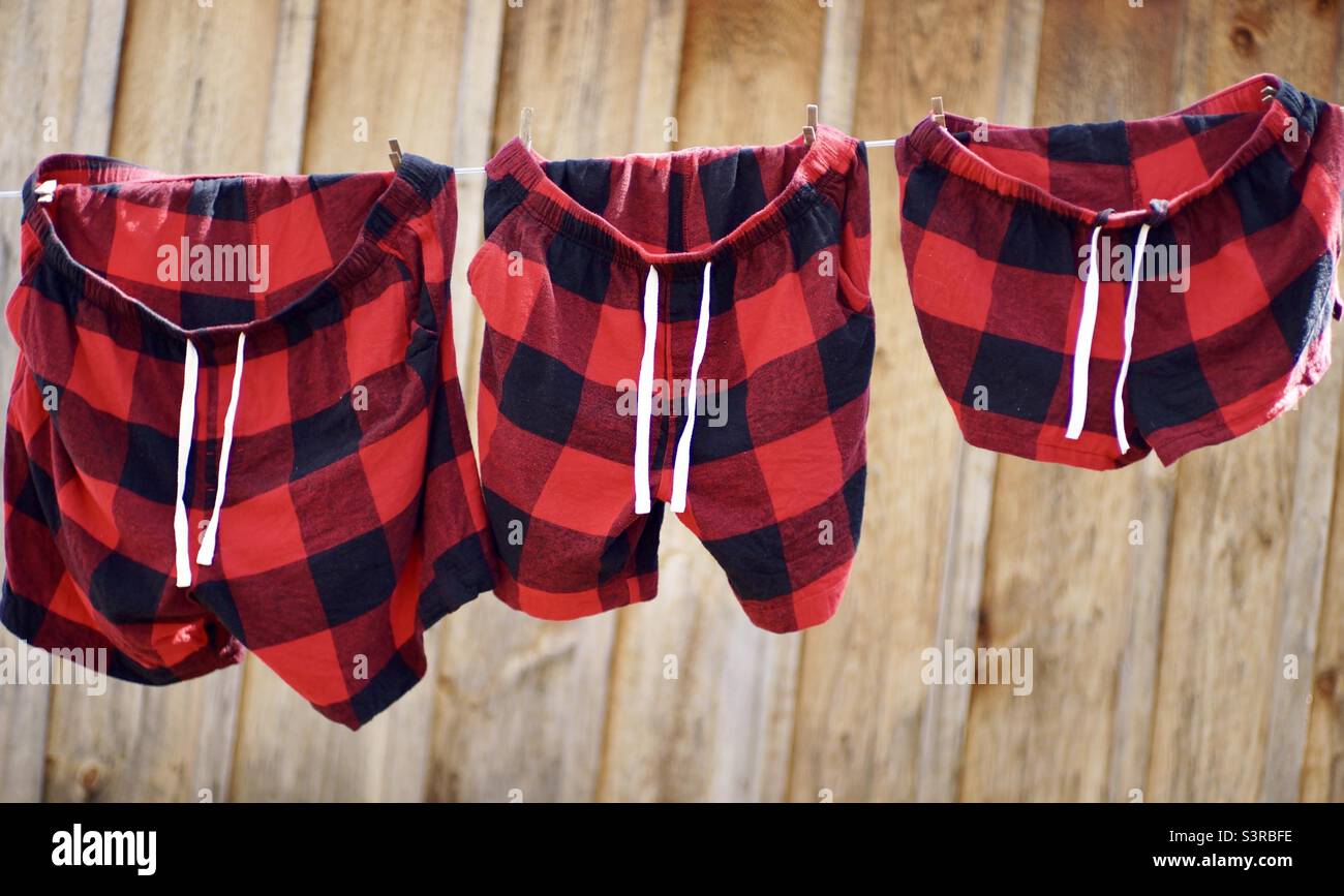 Canada’s Buffalo' plaid, which is not entirely Canadian, has roots in Scottish heritage. - Smartphone Captured Stock Image