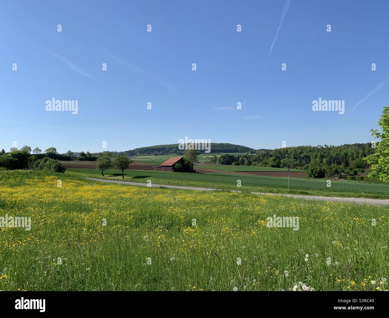 Landschaft im Frühling. Stock Photo