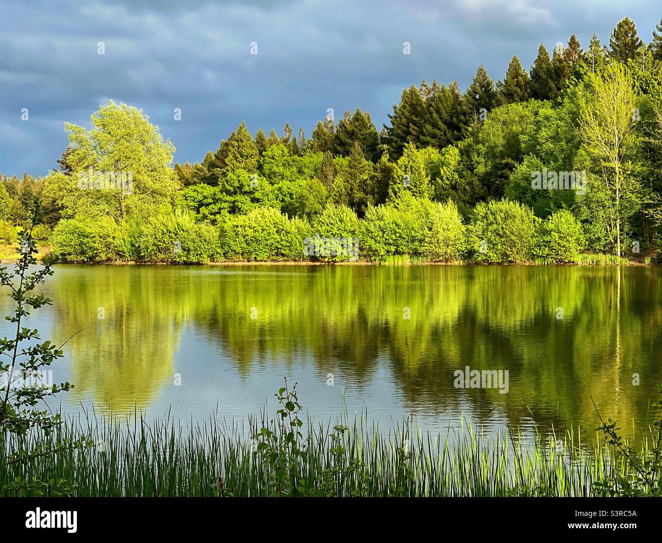 Scenic landscape view of lake at dusk with trees reflected in still waters Stock Photo