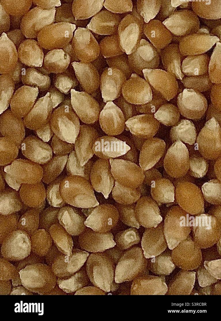 Popcorn with kernels hires stock photography and images Alamy