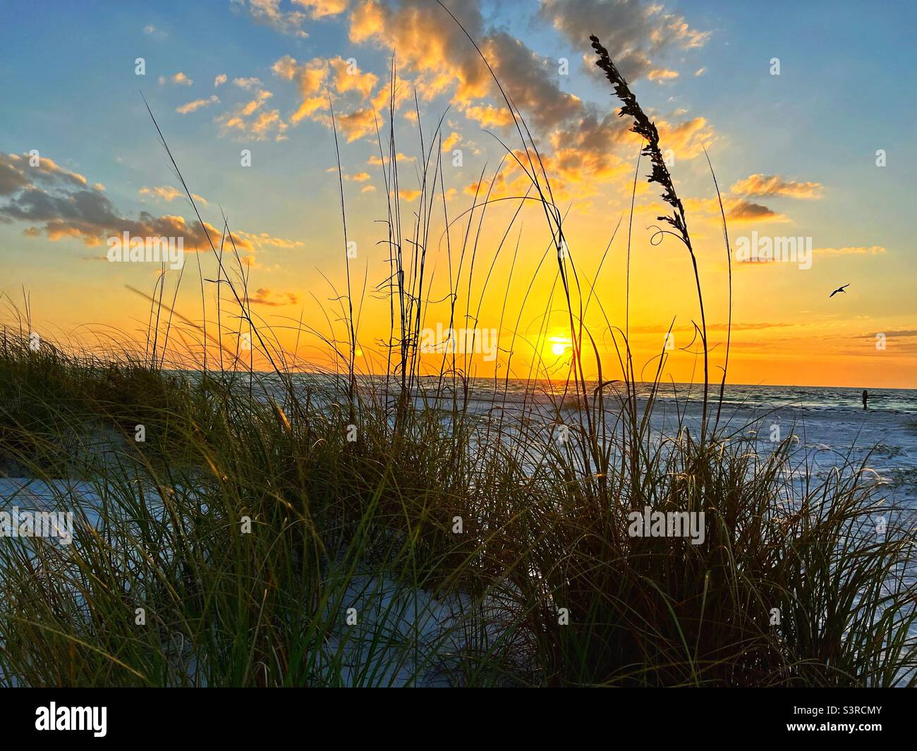 Sunset Through Sand Dunes Stock Photo