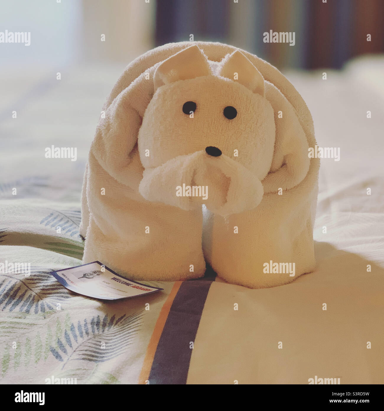 March, 2022, Towel terrier a room steward made for a guest on board the Carnival Conquest during a cruise from Miami, Florida to the Bahamas - Smartphone Captured Stock Image